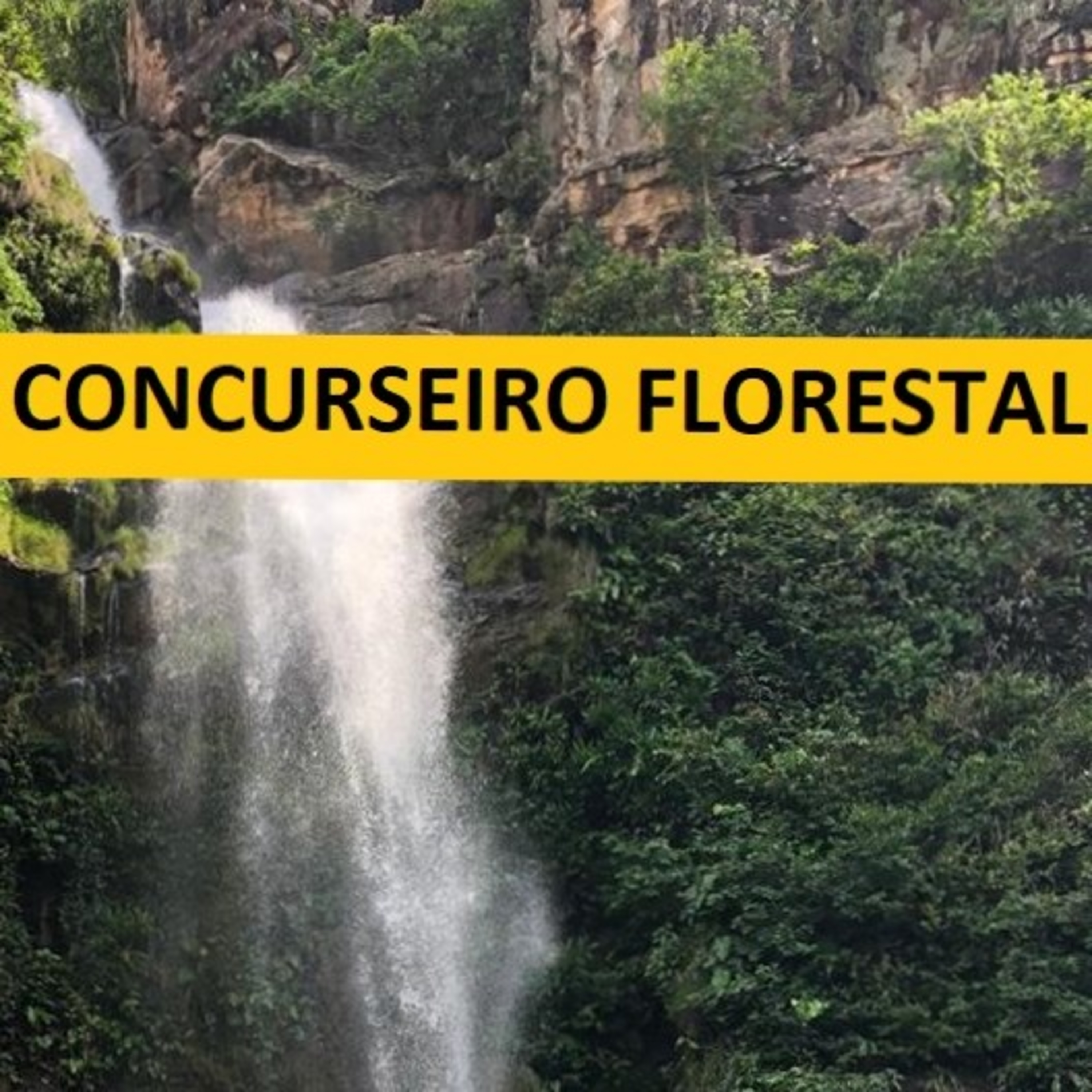 Concurseiro Florestal Amador