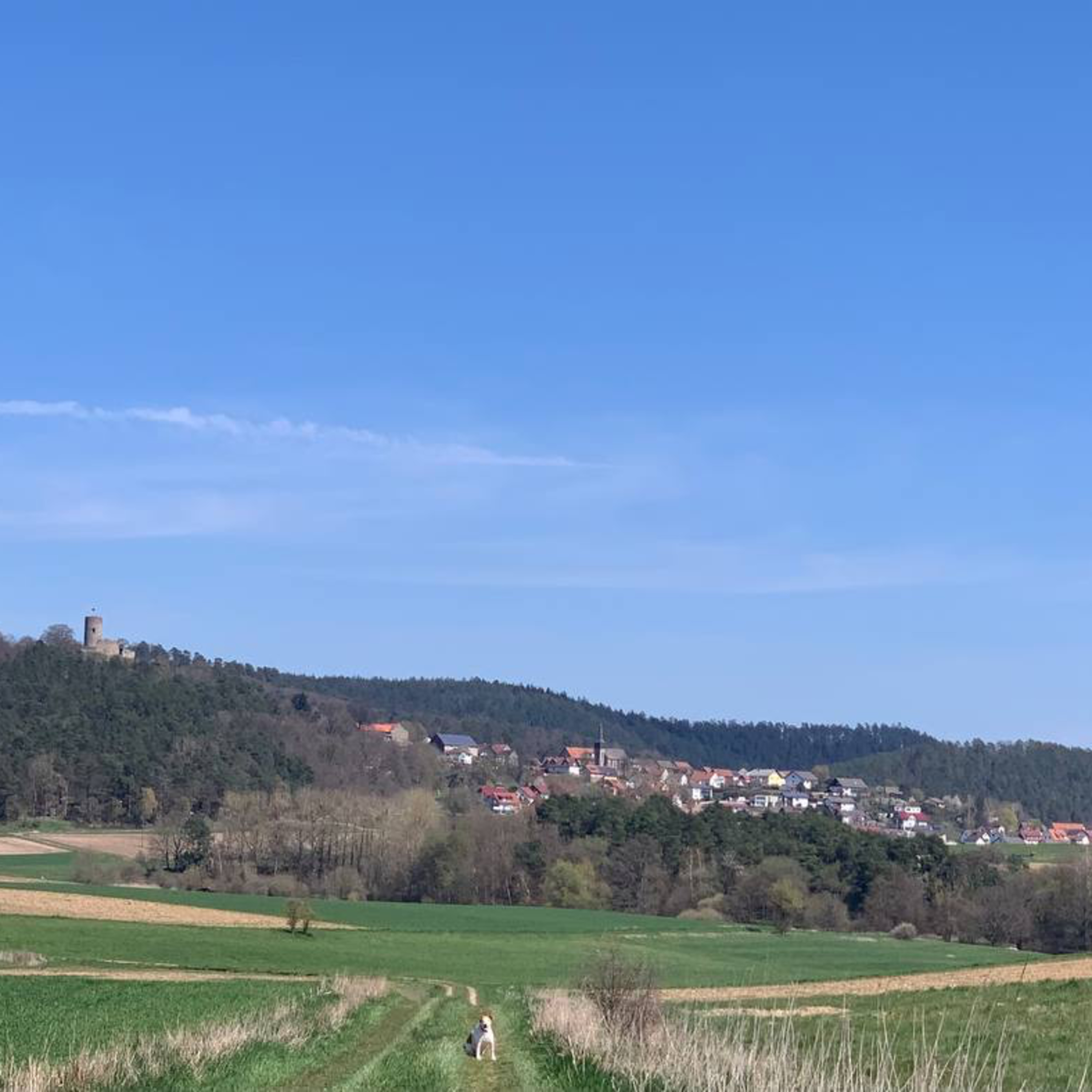 Strandkorbgedöns