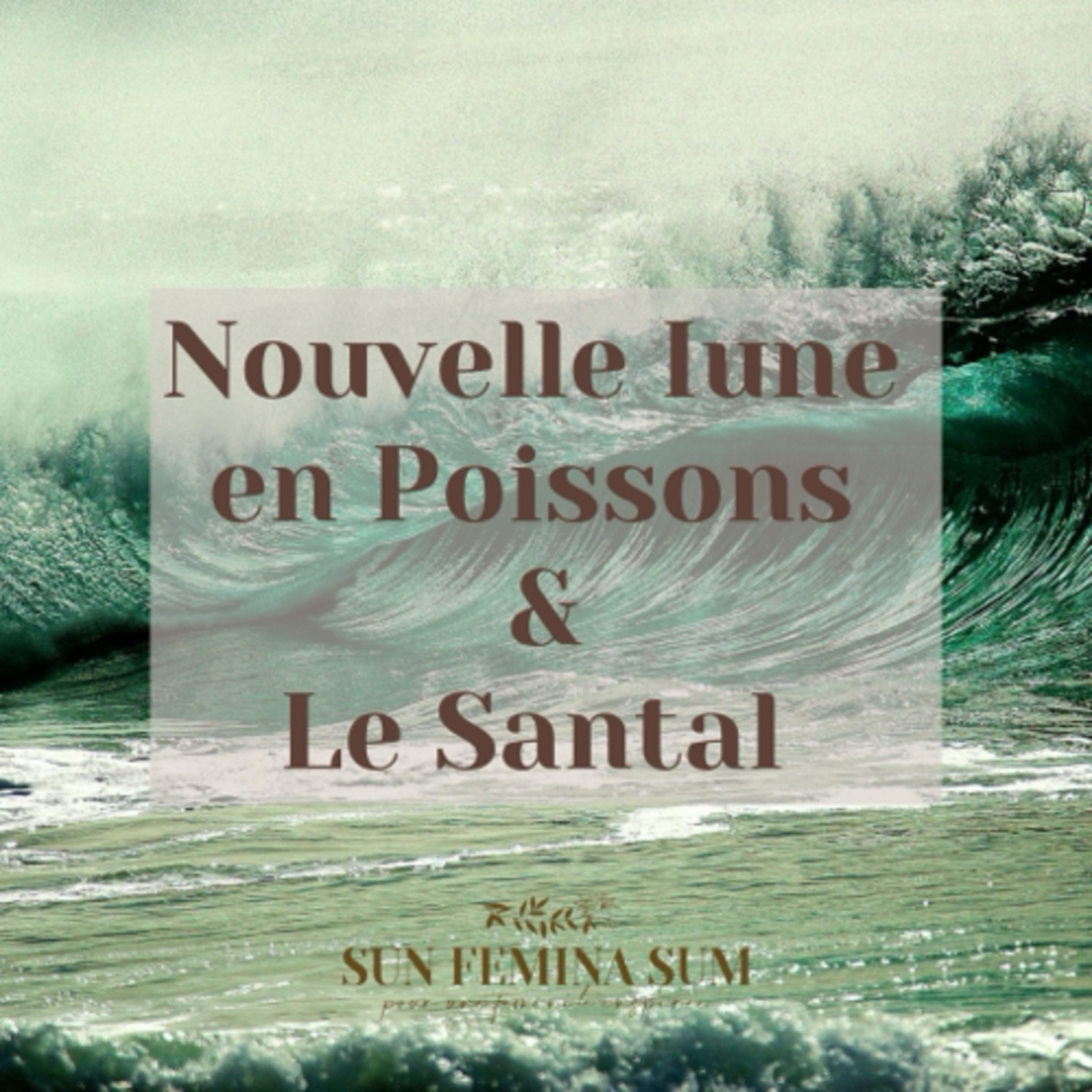NOUVELLE LUNE EN POISSONS ET LE SANTAL episode artwork