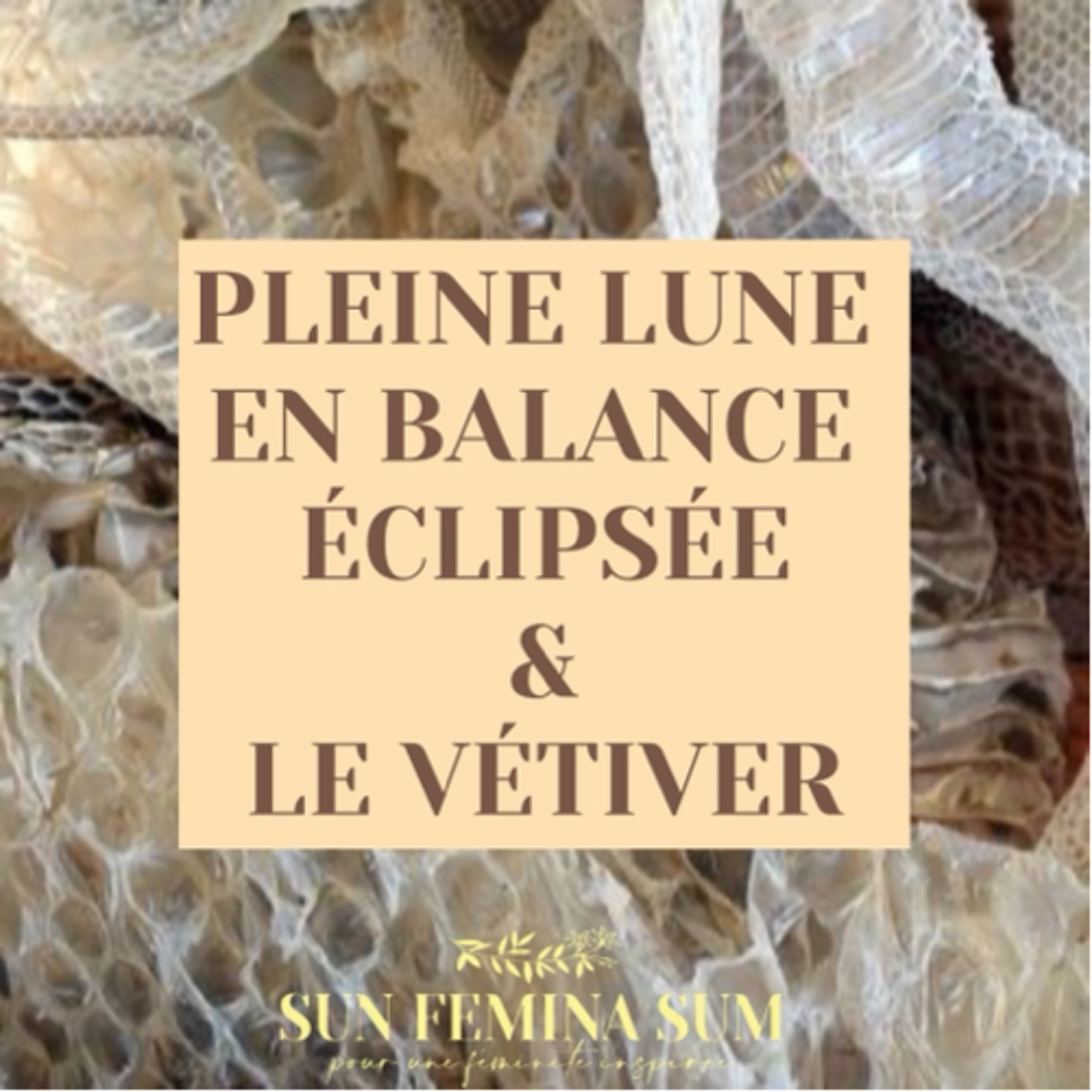 PLEINE LUNE EN BALANCE ÉCLIPSÉE ET LE VÉTIVER episode artwork