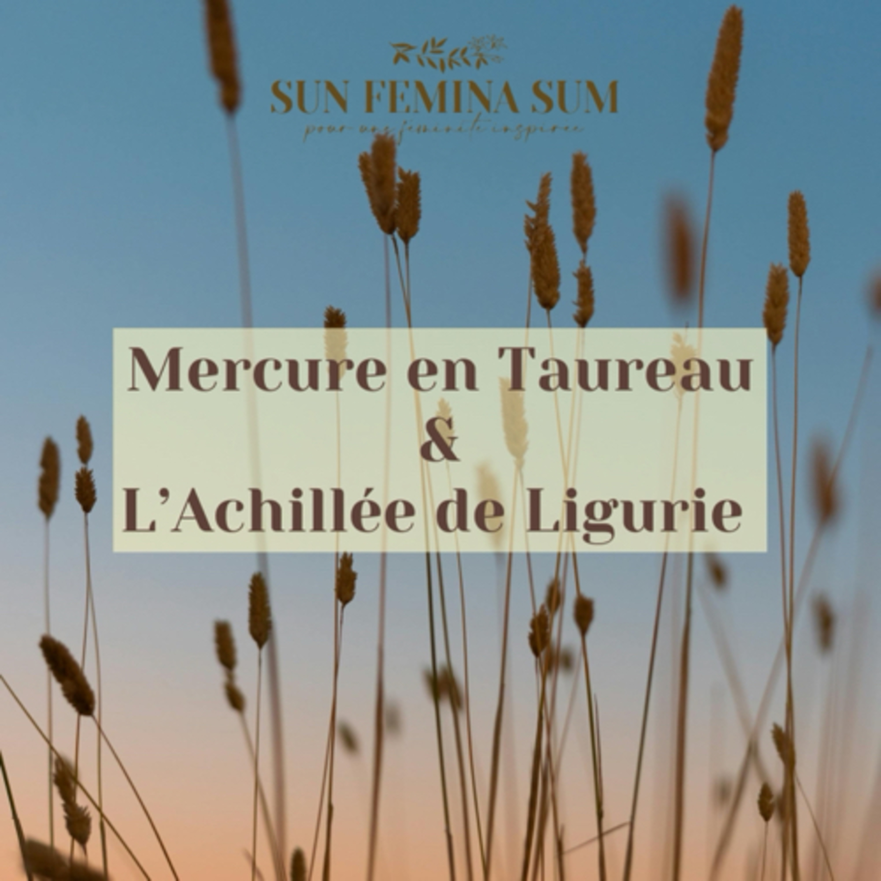 Mercure en Taureau et l’achillée de Ligurie episode artwork
