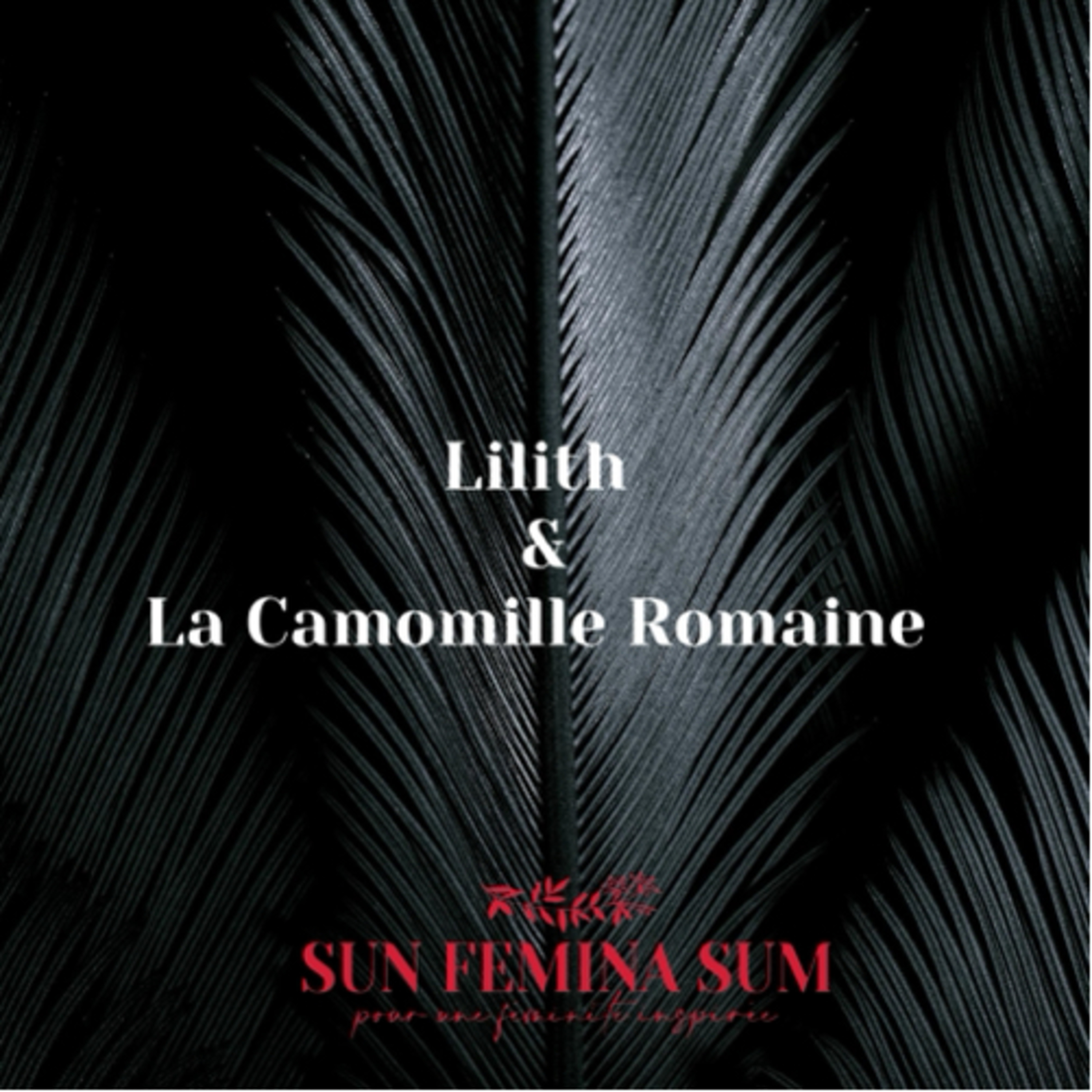LILITH ET LA CAMOMILLE MATRICAIRE episode artwork