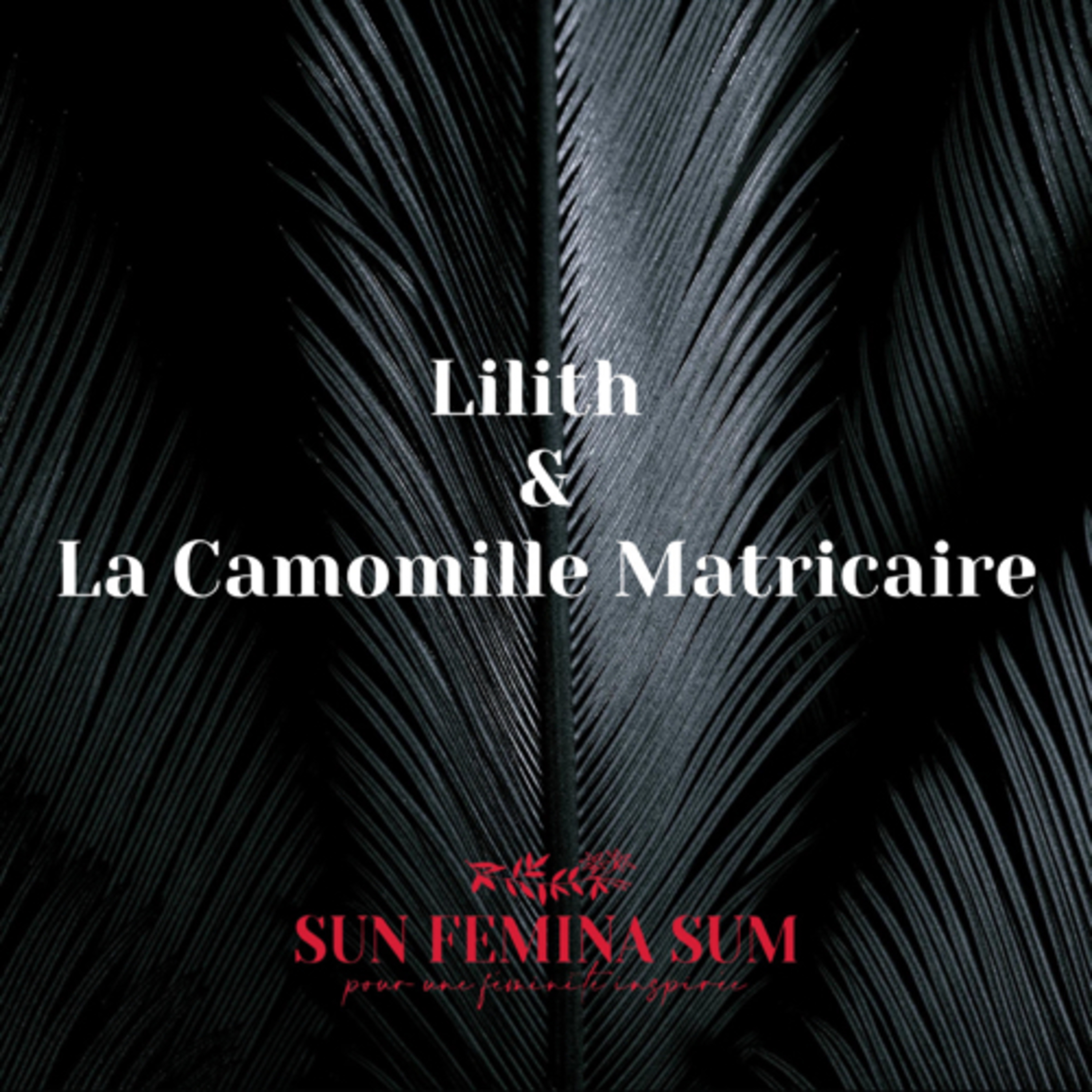 LILITH ET LA CAMOMILLE MATRICAIRE episode artwork
