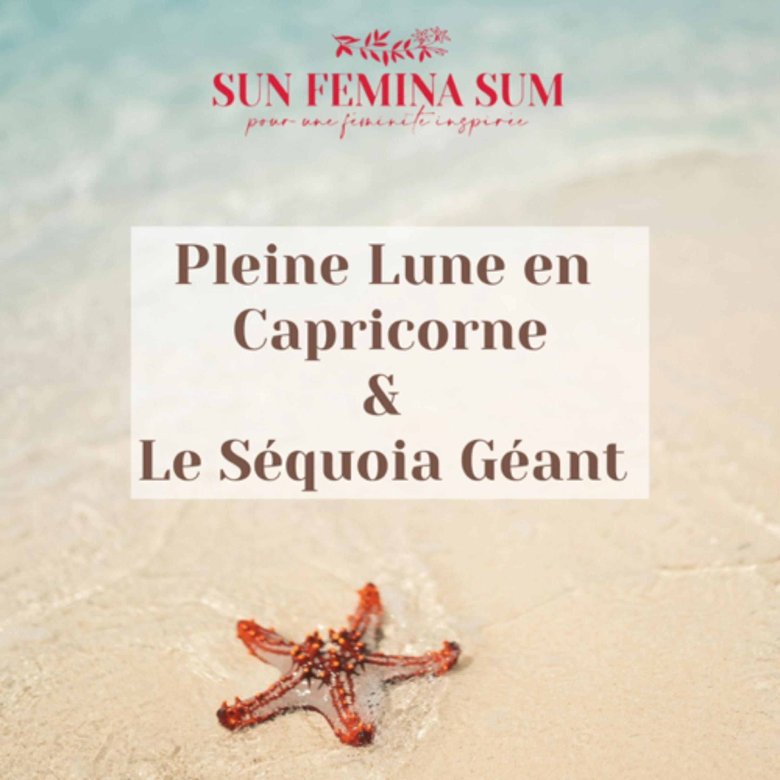 PLEINE LUNE EN CAPRICORNE ET LE SÉQUOIA GÉANT episode artwork