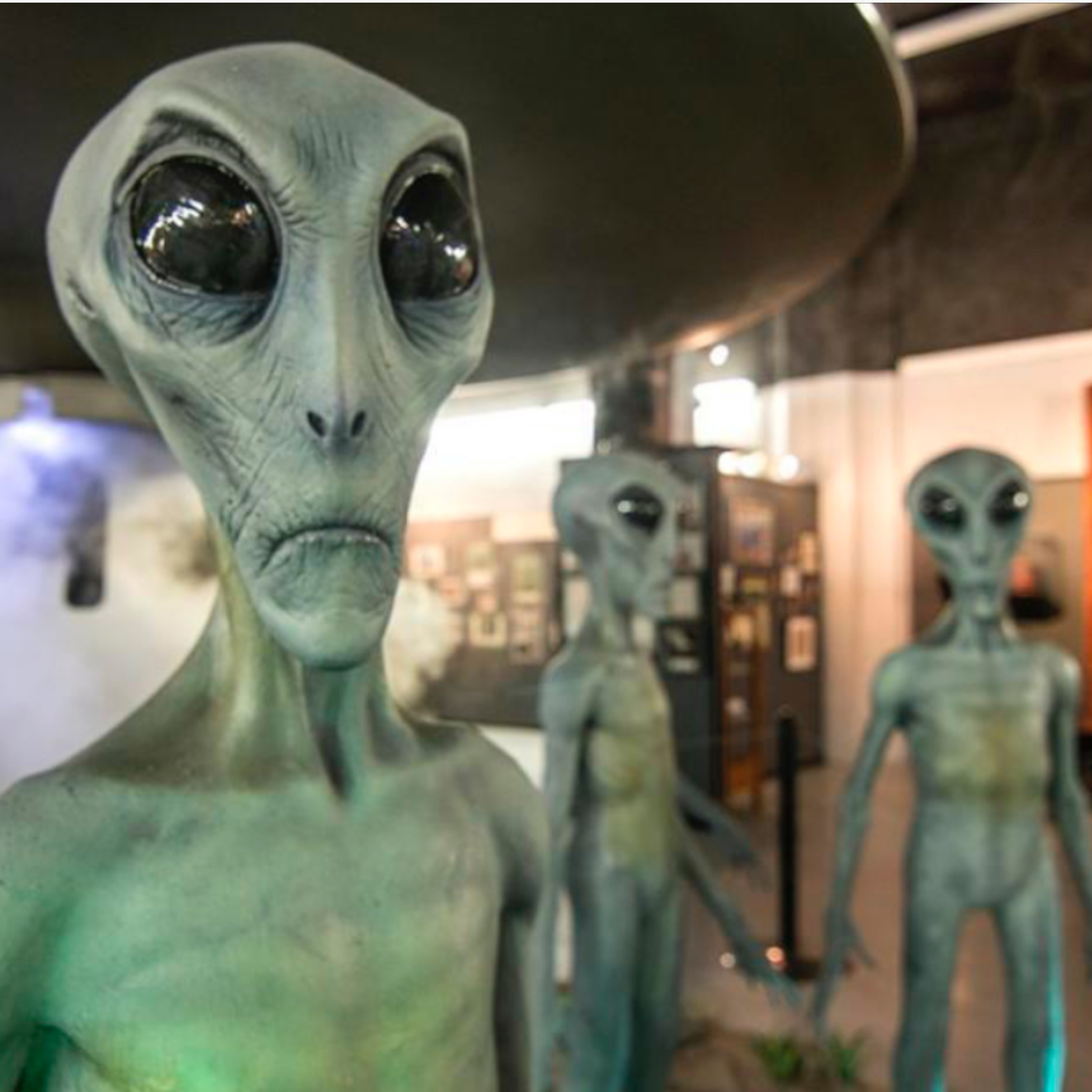 Conspiracy theories.