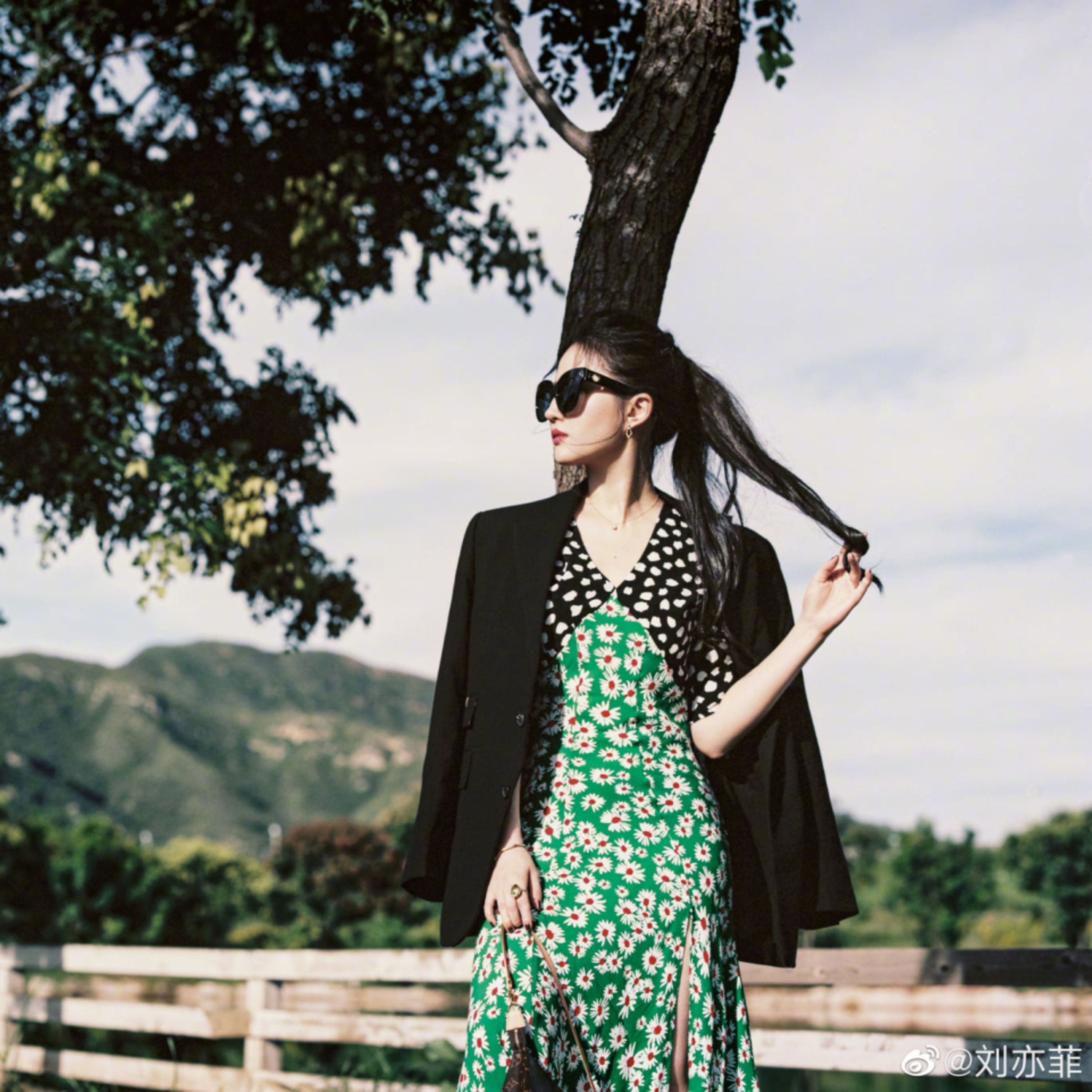 VGT TV - Việt Giải Trí