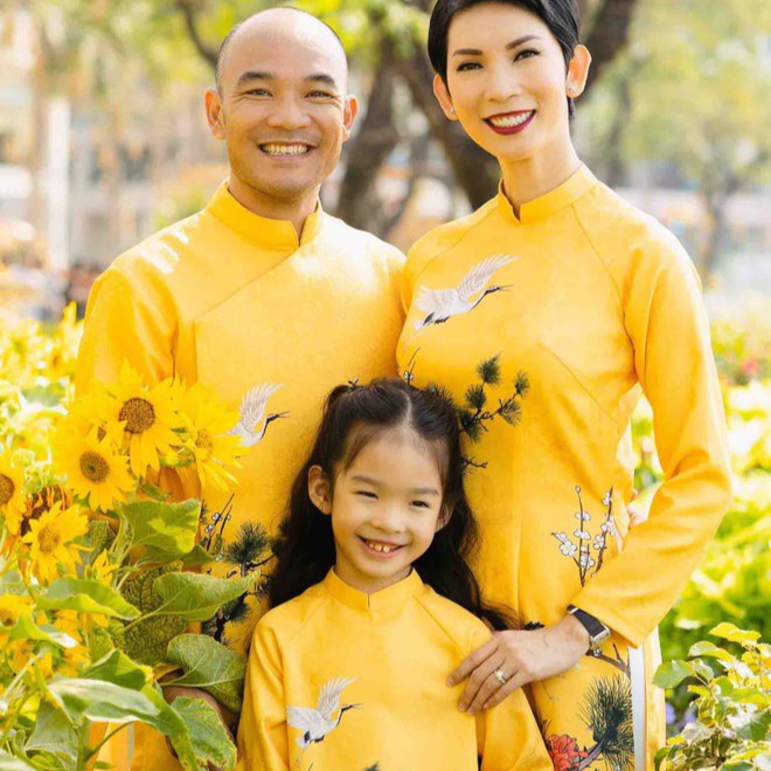 VGT TV - Sao Việt