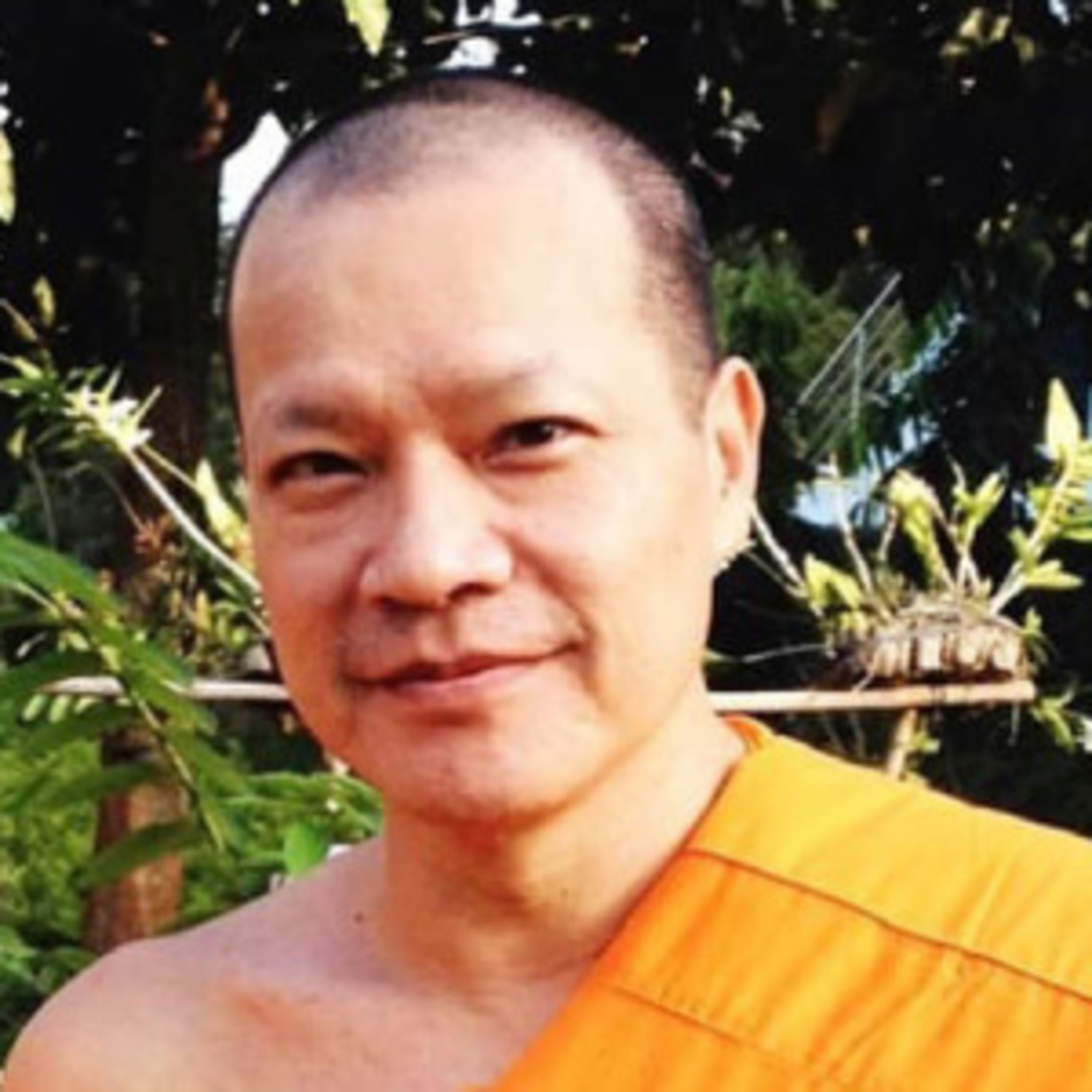 Hồng Triều Phong: Hai lần cưới vẫn đi tu, giờ bị ung thư phải cắt 2/3 lưỡi, U70 công khai đồng tính episode artwork
