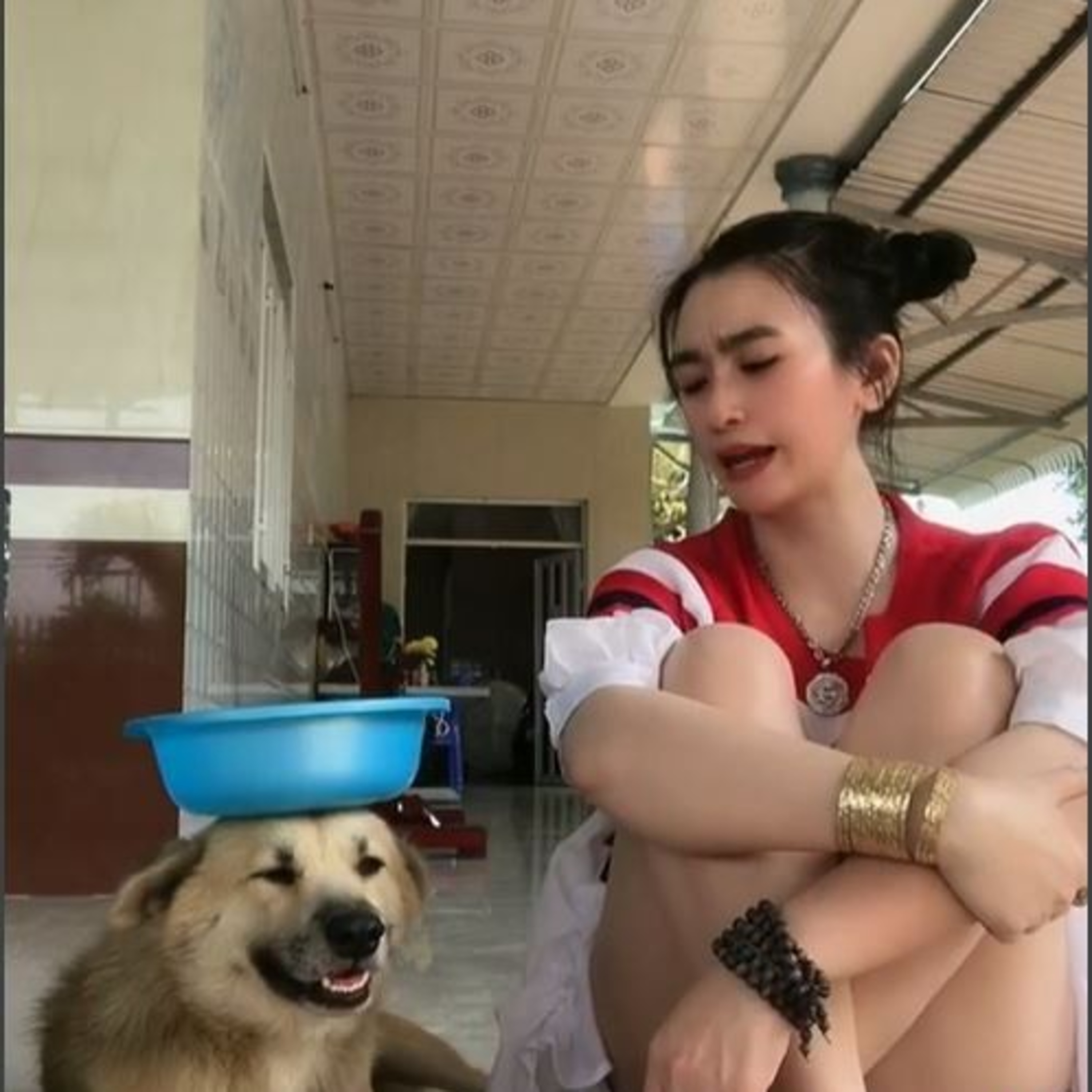 Vụ 'Củ tỏi' - chú chó nổi tiếng trên TikTok mất tích: Ngọc Duyên đã tìm ra tung tích giống đến 90%! episode artwork