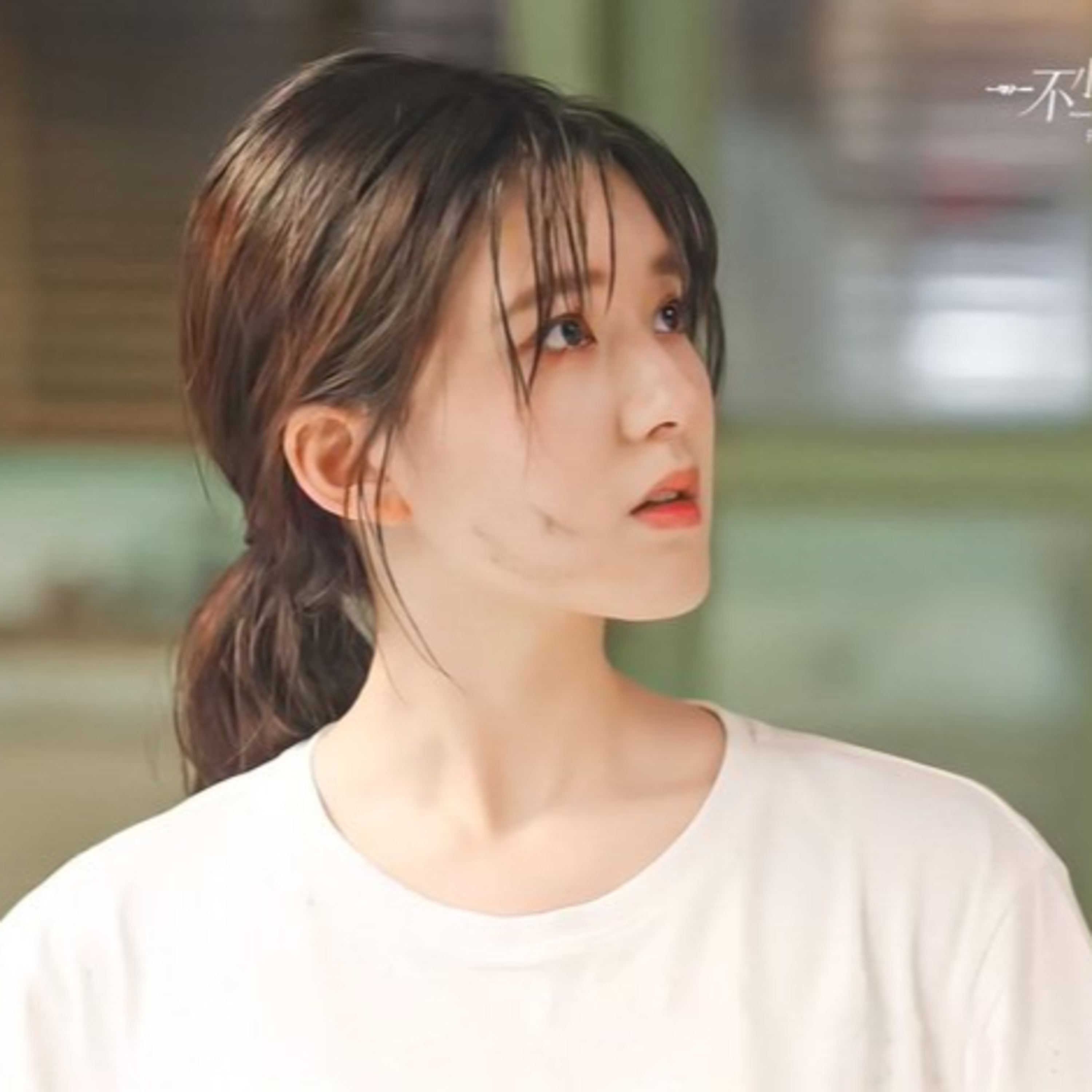 Dương Tử, Nhiệt Ba và dàn sao Cbiz dù cố gắng đến mấy cũng bị chê xối xả episode artwork