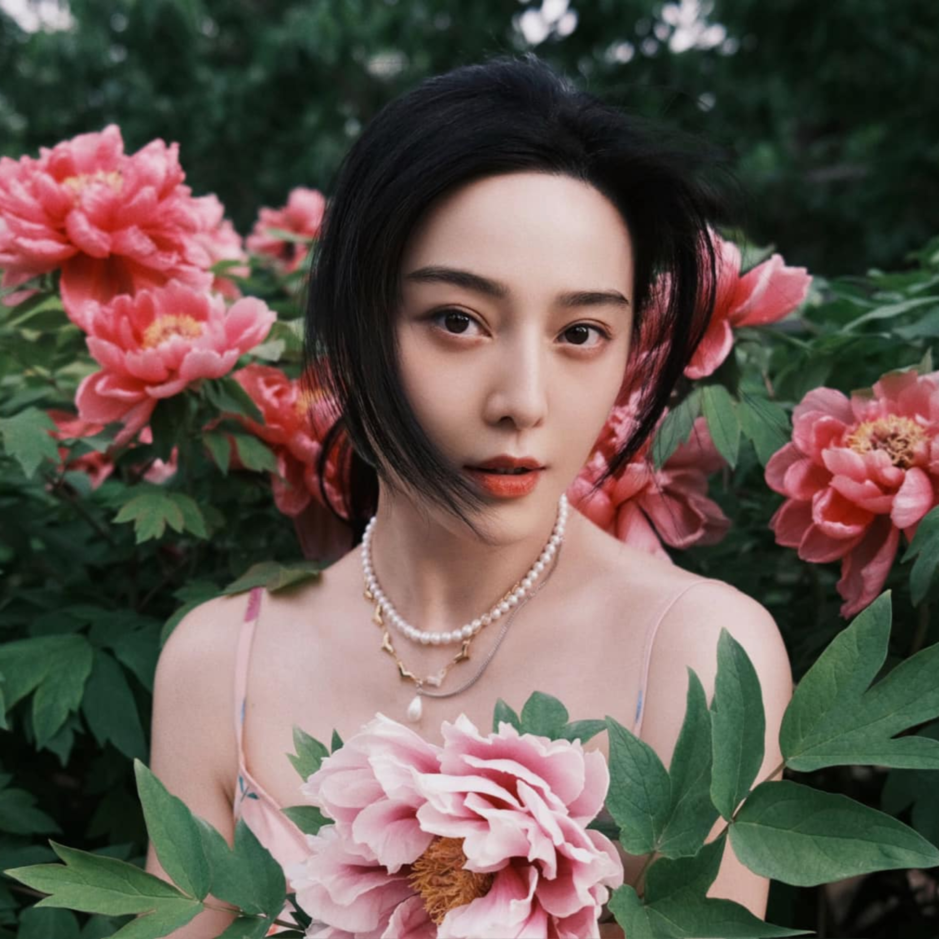 Phạm Băng Băng dùng đủ chiêu trò bám trụ showbiz để lấy lại hào quang hay còn lý do nào khác? episode artwork