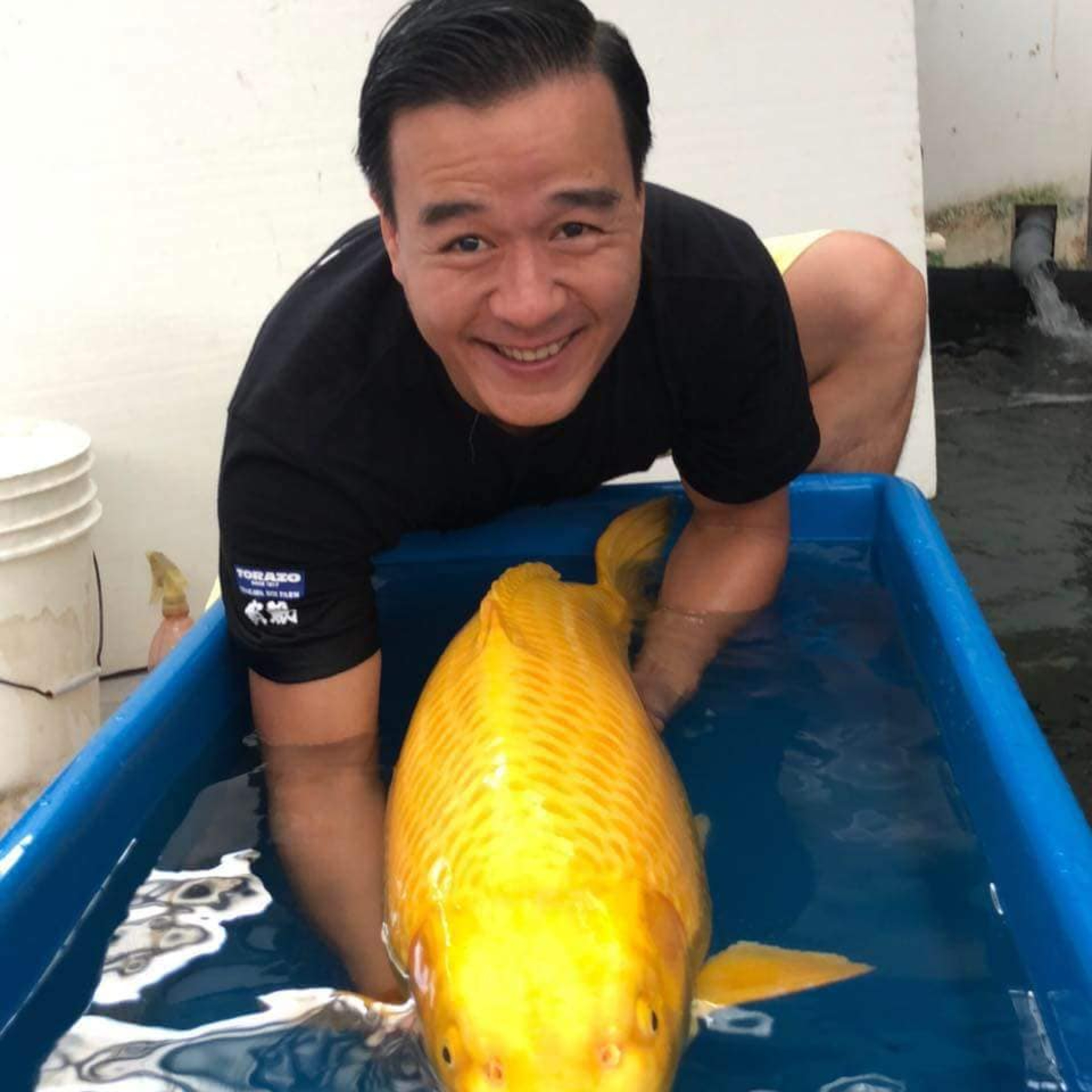 ‘Vua cá Koi’ trở lại với tinh thần 'phơi phới hy vọng' sau ồn ào đám cưới với Hà Thanh Xuân episode artwork