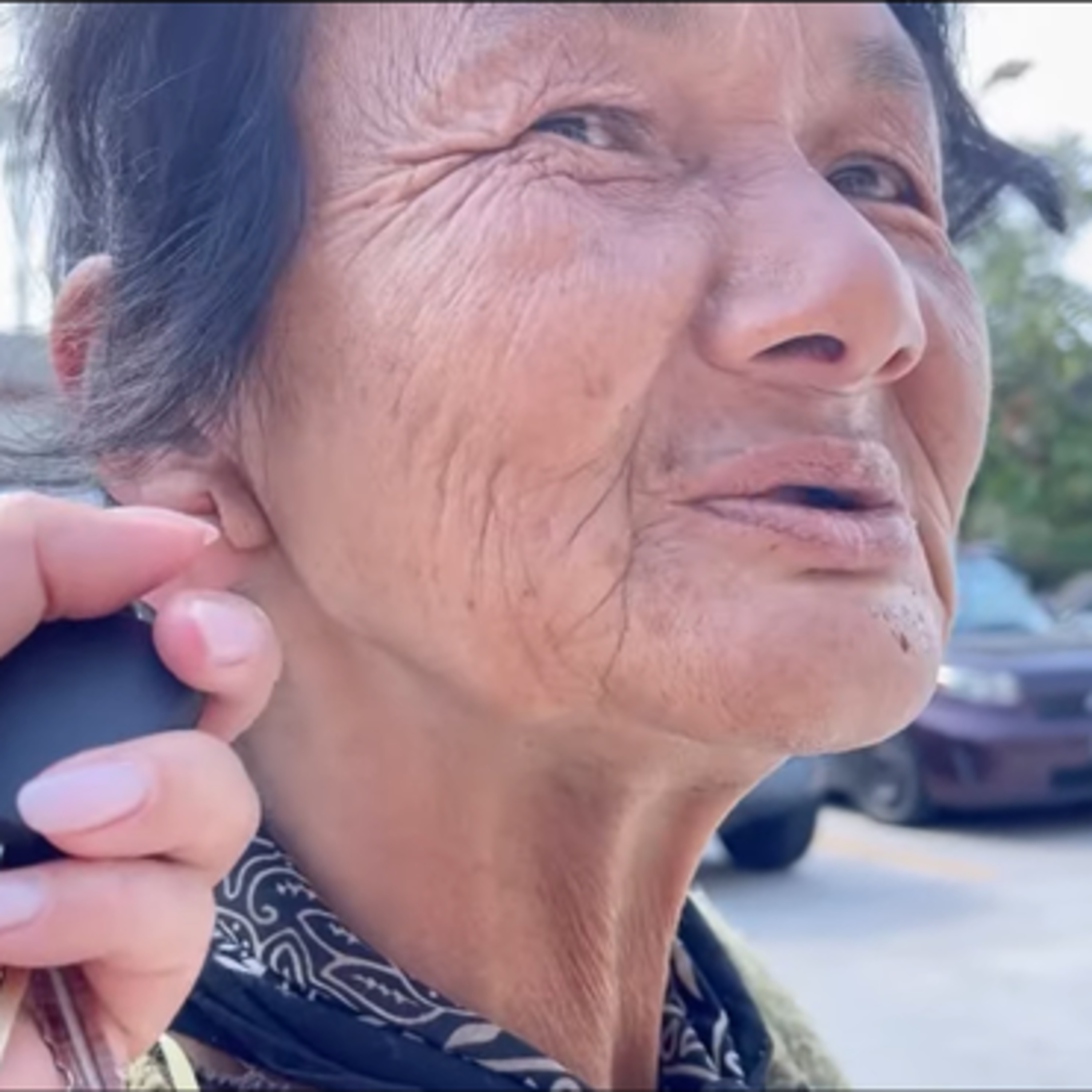 VGT TV - Sao Việt