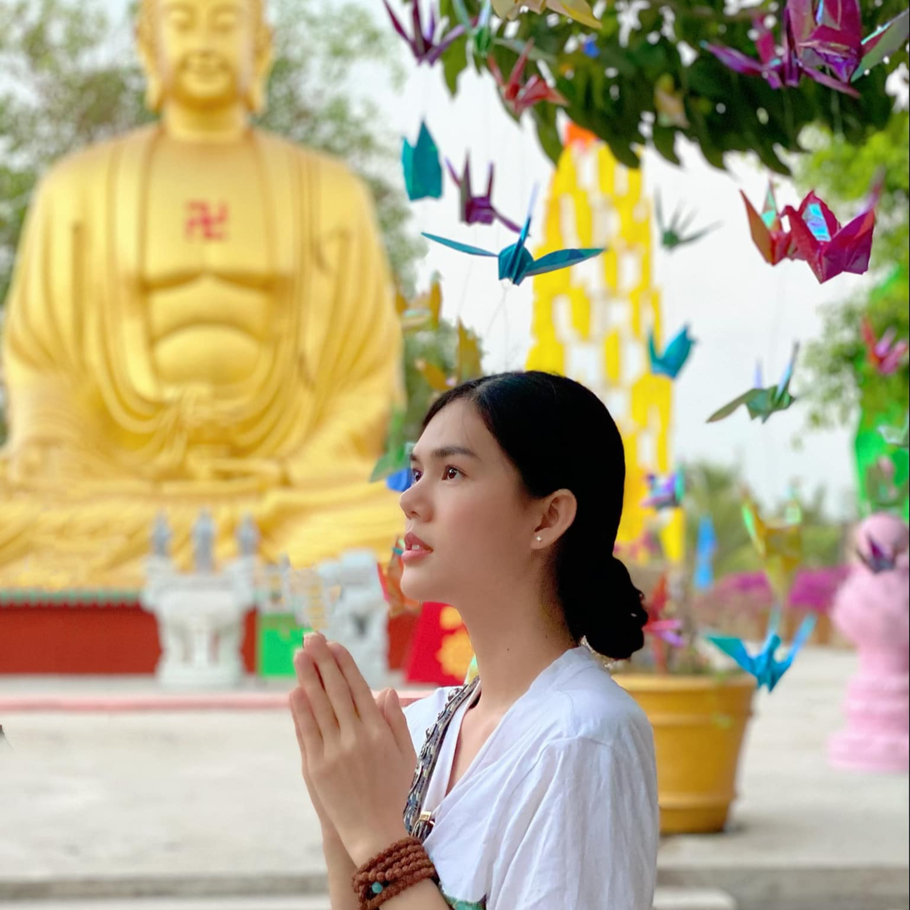 Ngọc Trinh bị người đàn ông lừa đảo số tiền lớn, phải vay mượn để có tiền làm nhà episode artwork