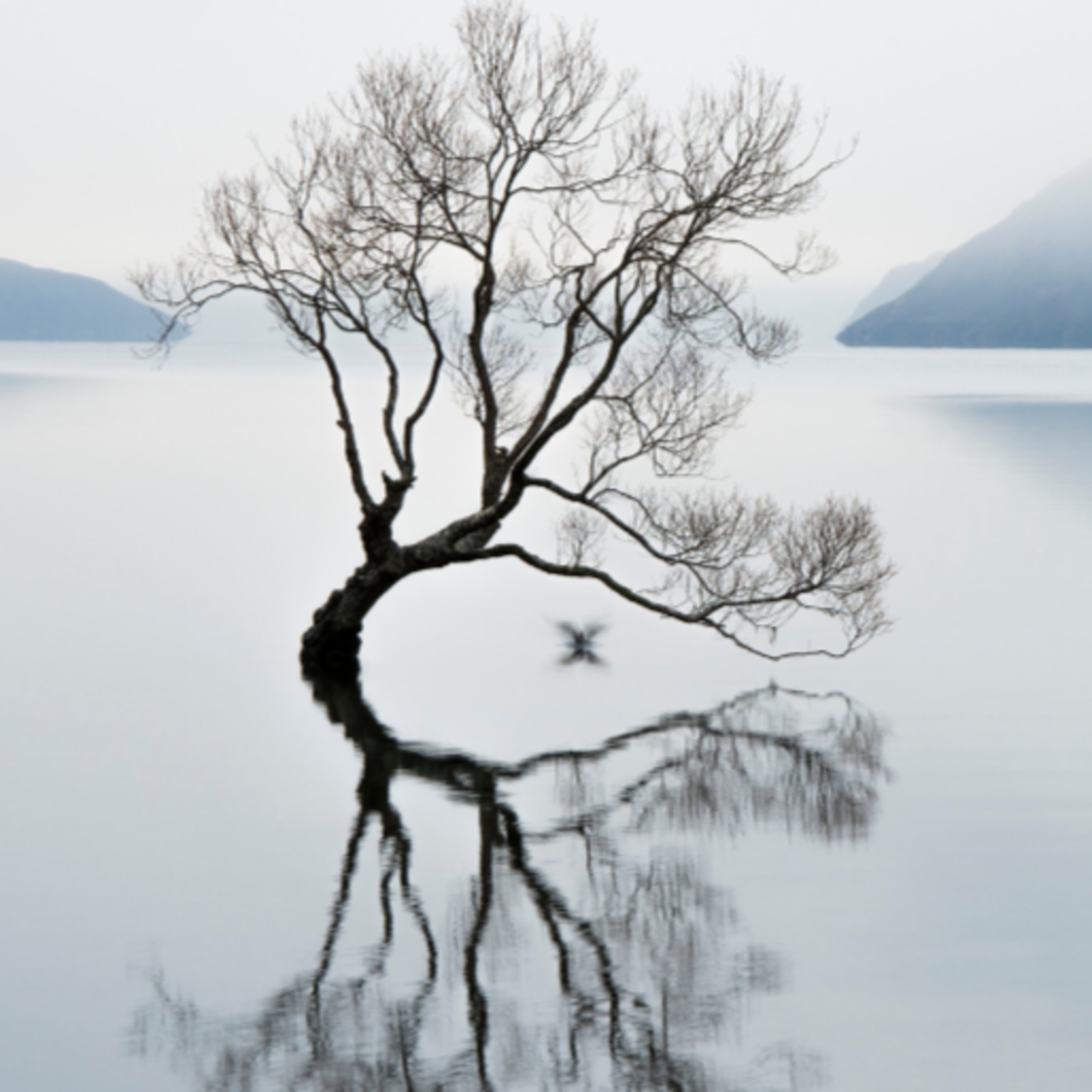 Meditación y Craneosacral, Método ASA