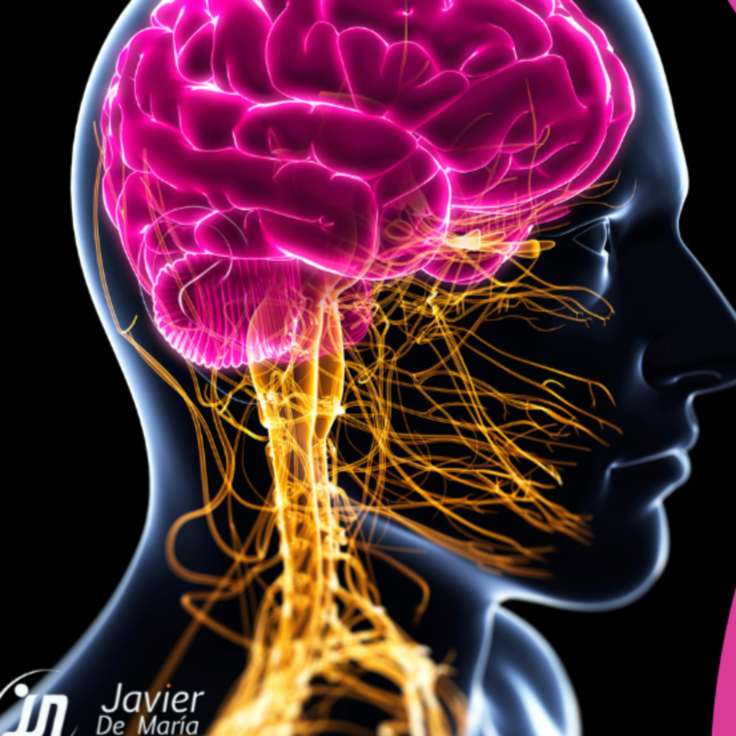 Meditación y Craneosacral, Método ASA