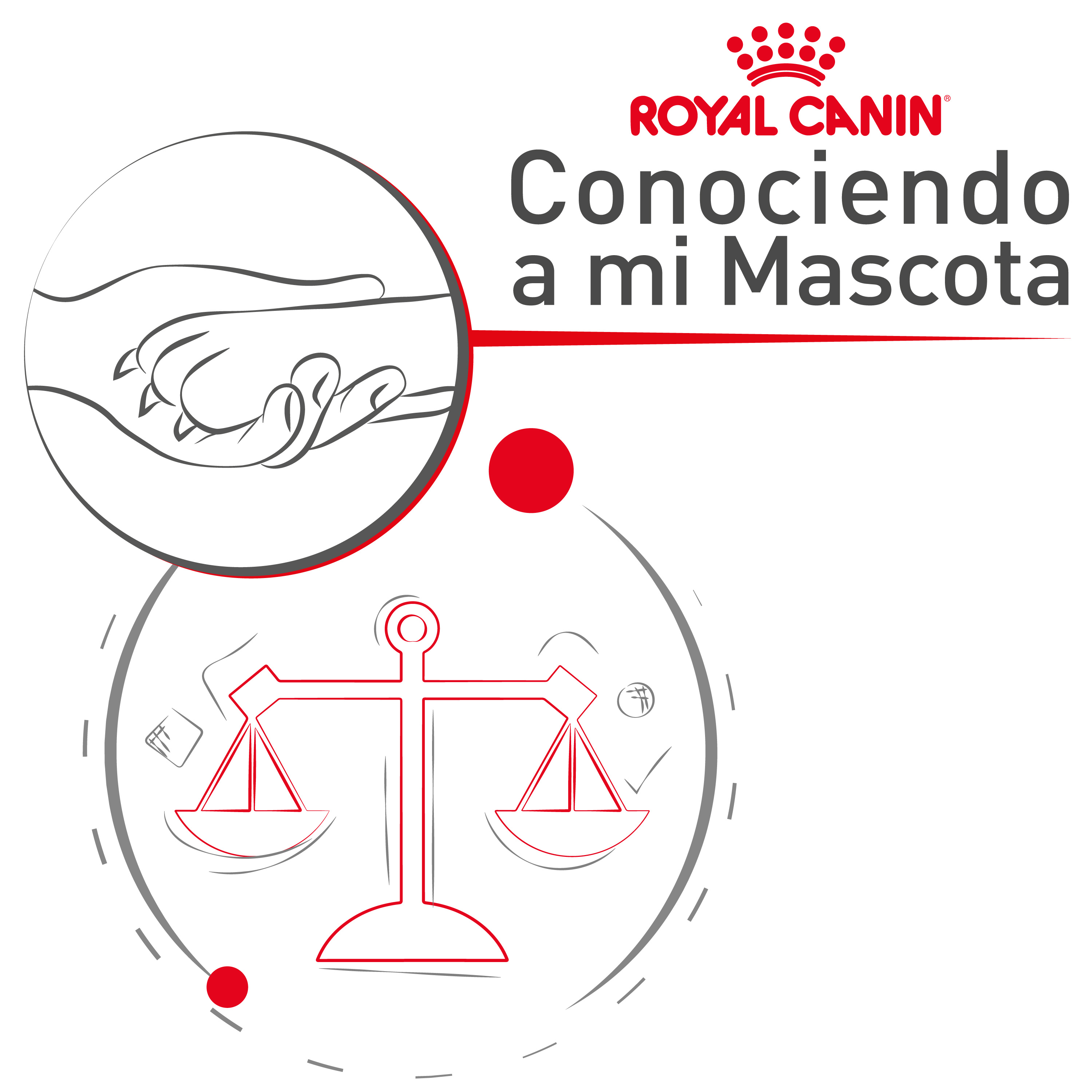¿Qué contienen los alimentos para mascotas?