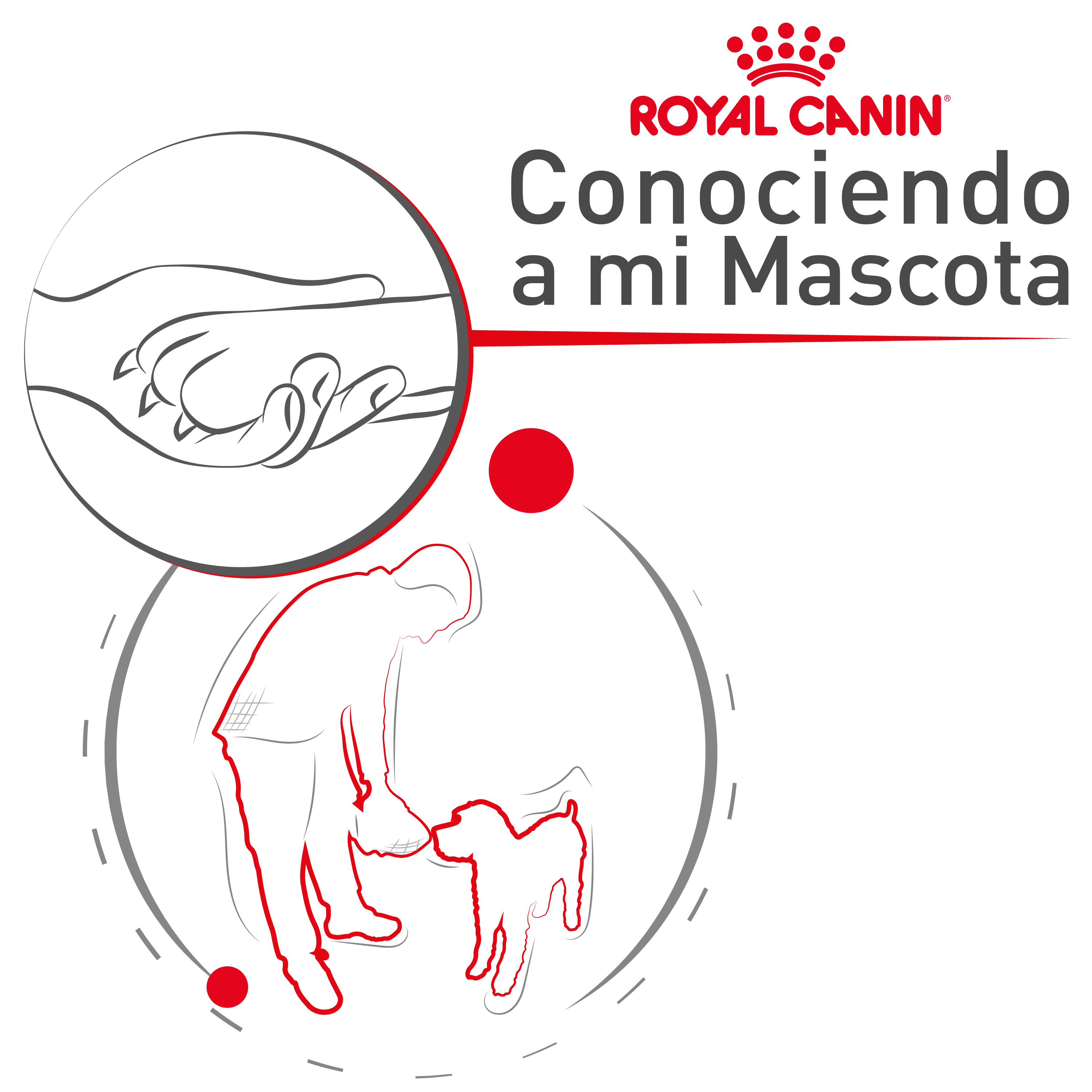¿Cómo identificar un buen alimento para mi mascota?