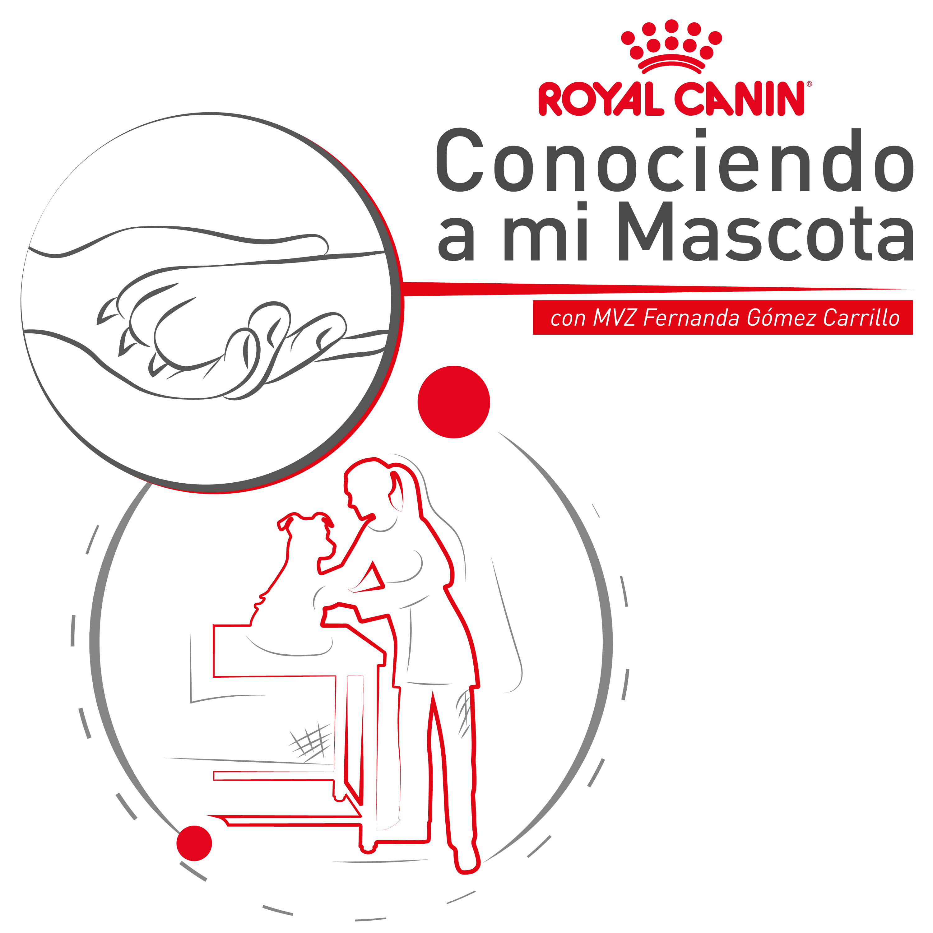 Cuándo llevar a mi mascota a Urgencias