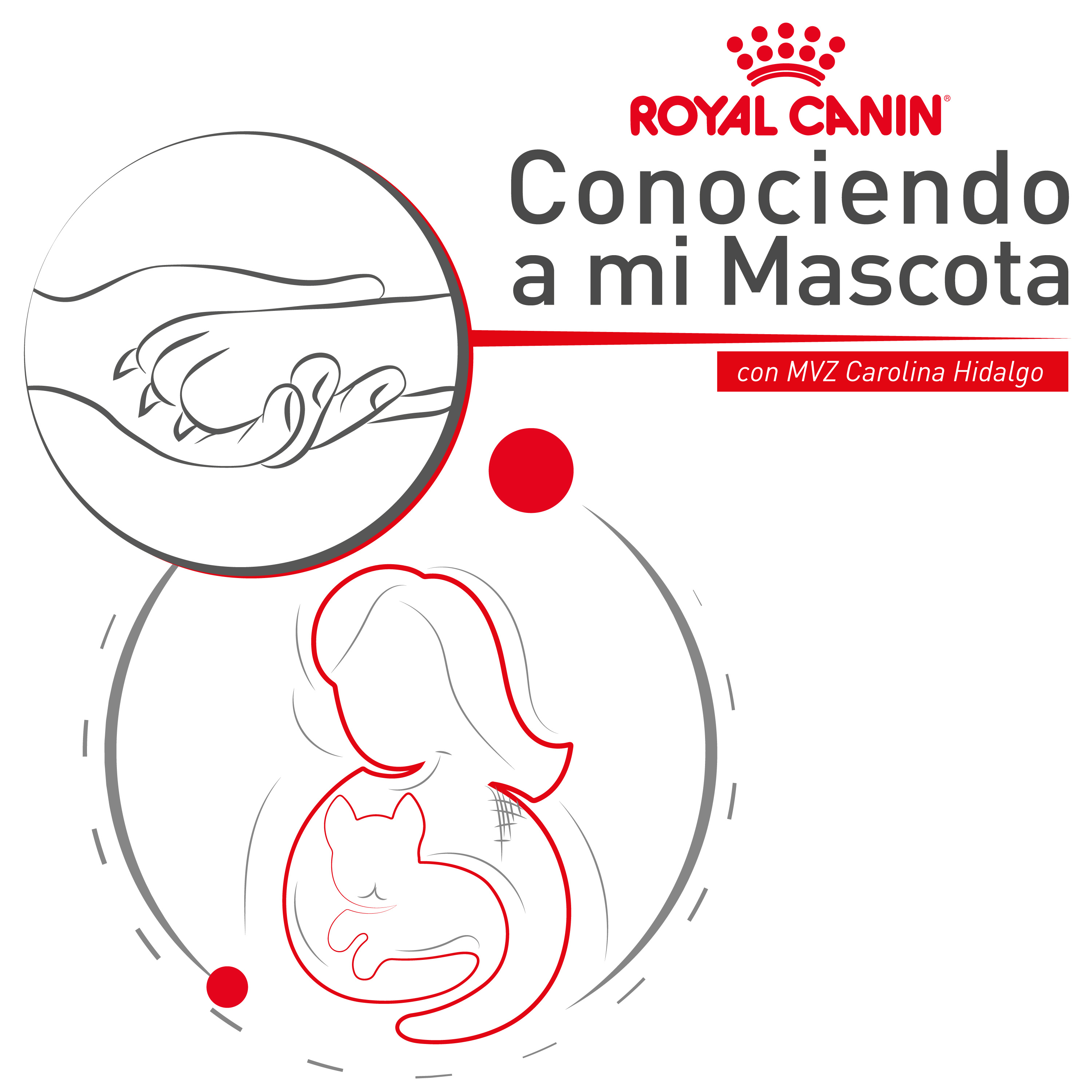 Cómo evitar estrés y miedo en nuestras mascotas