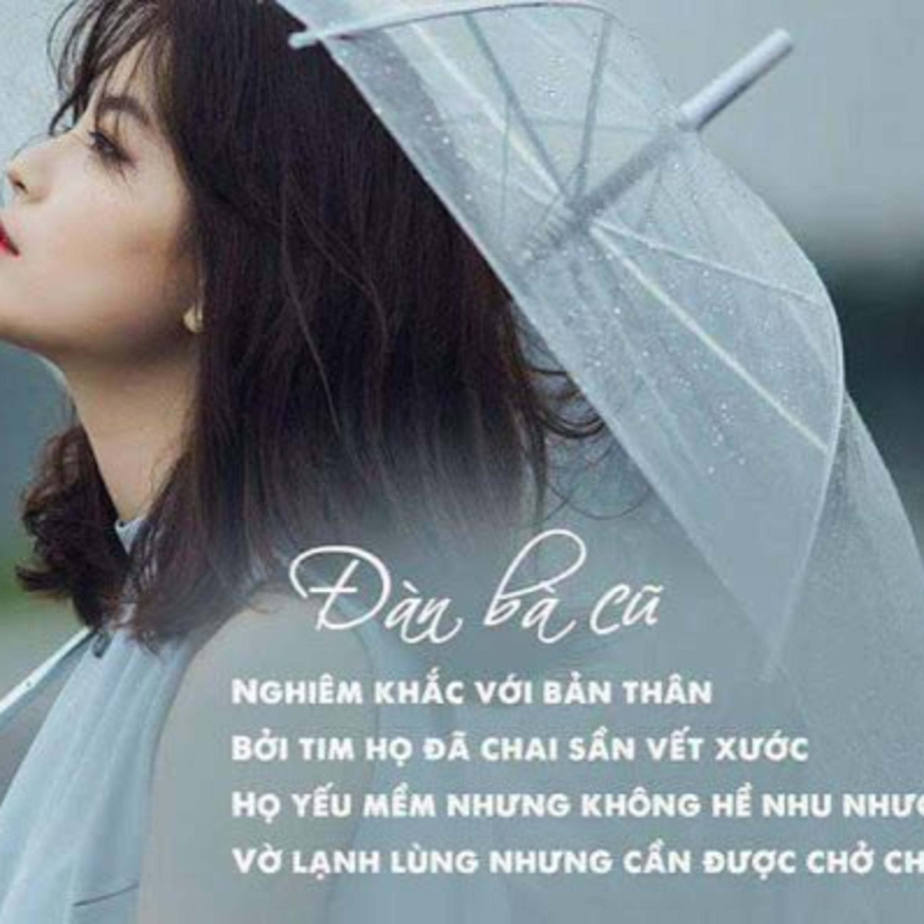 TÔI LÀ NGỰ MIÊU