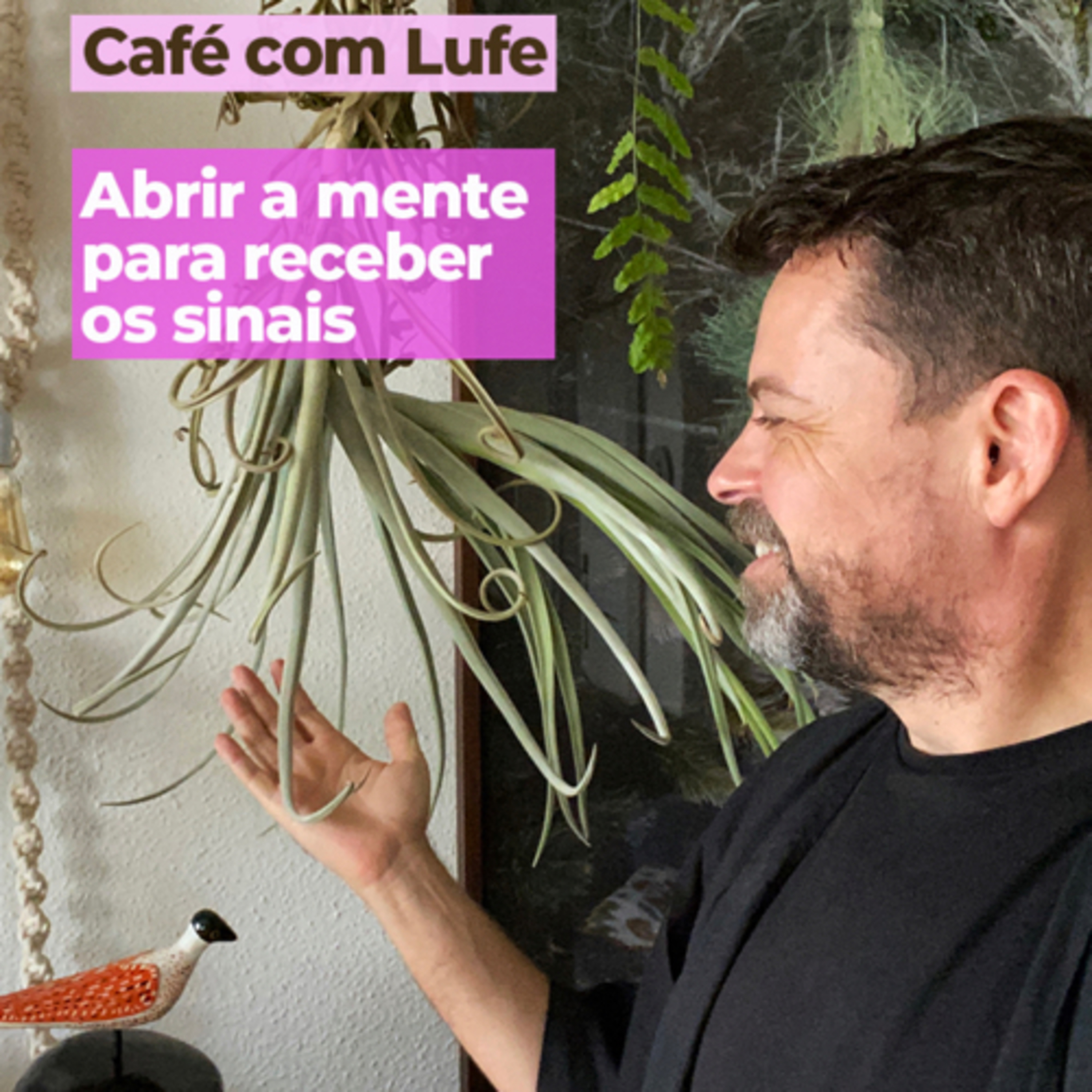 Café com Lufe