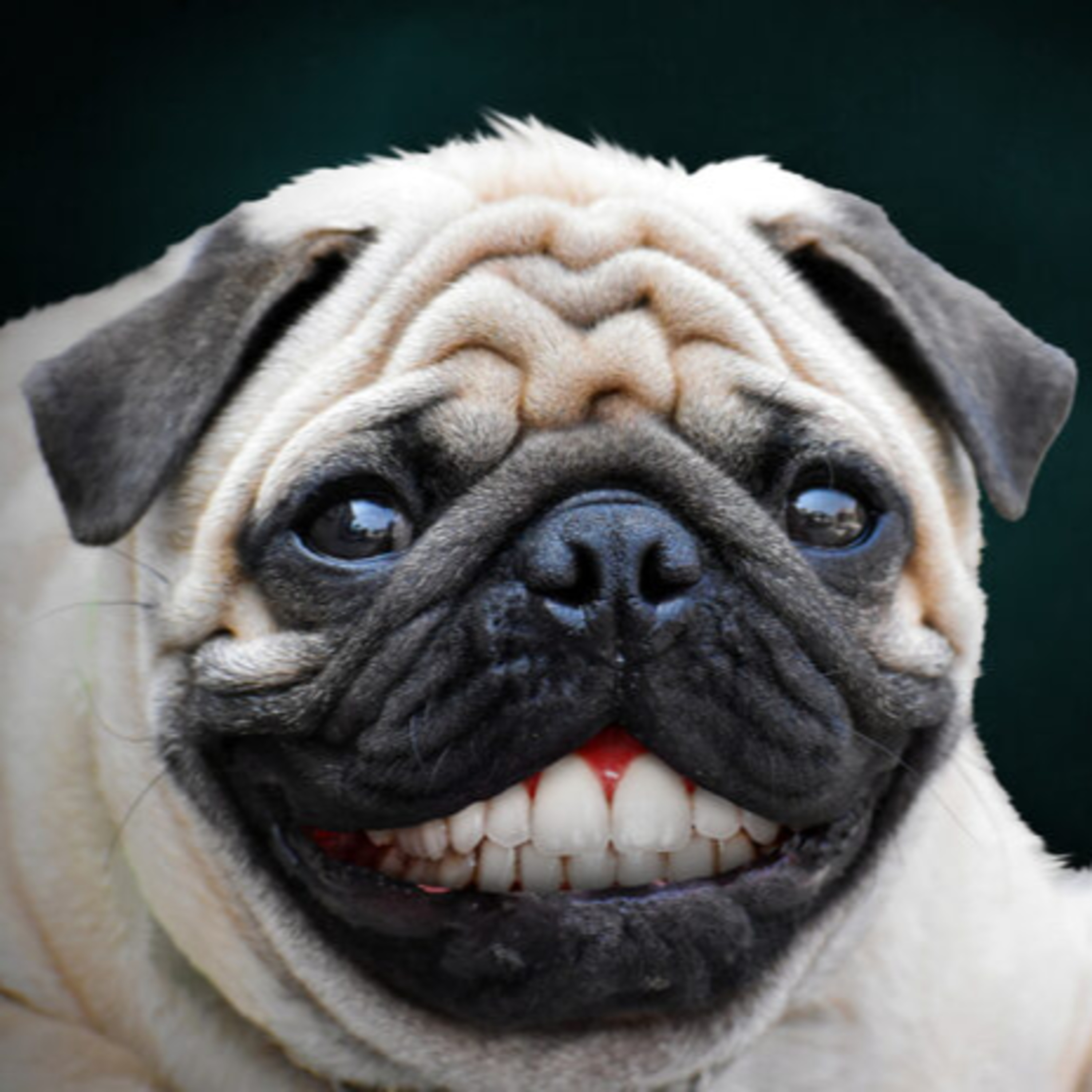 Today\'s RDH Dental Hygiene Podcast