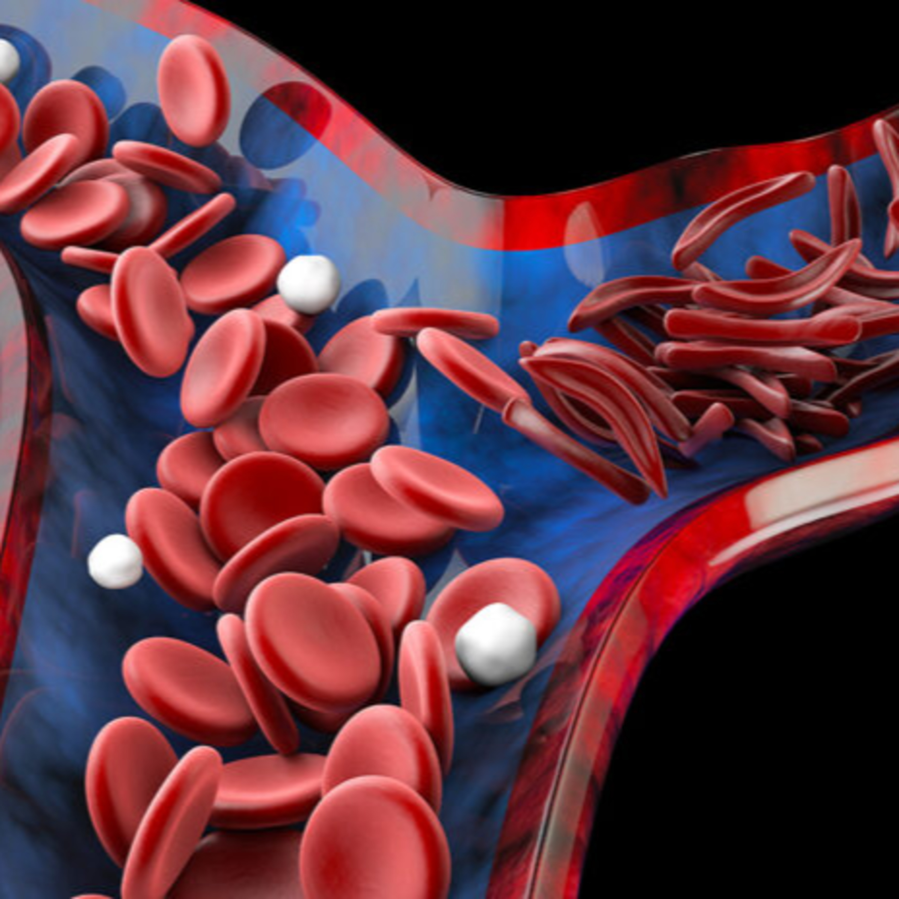 Today\'s RDH Dental Hygiene Podcast