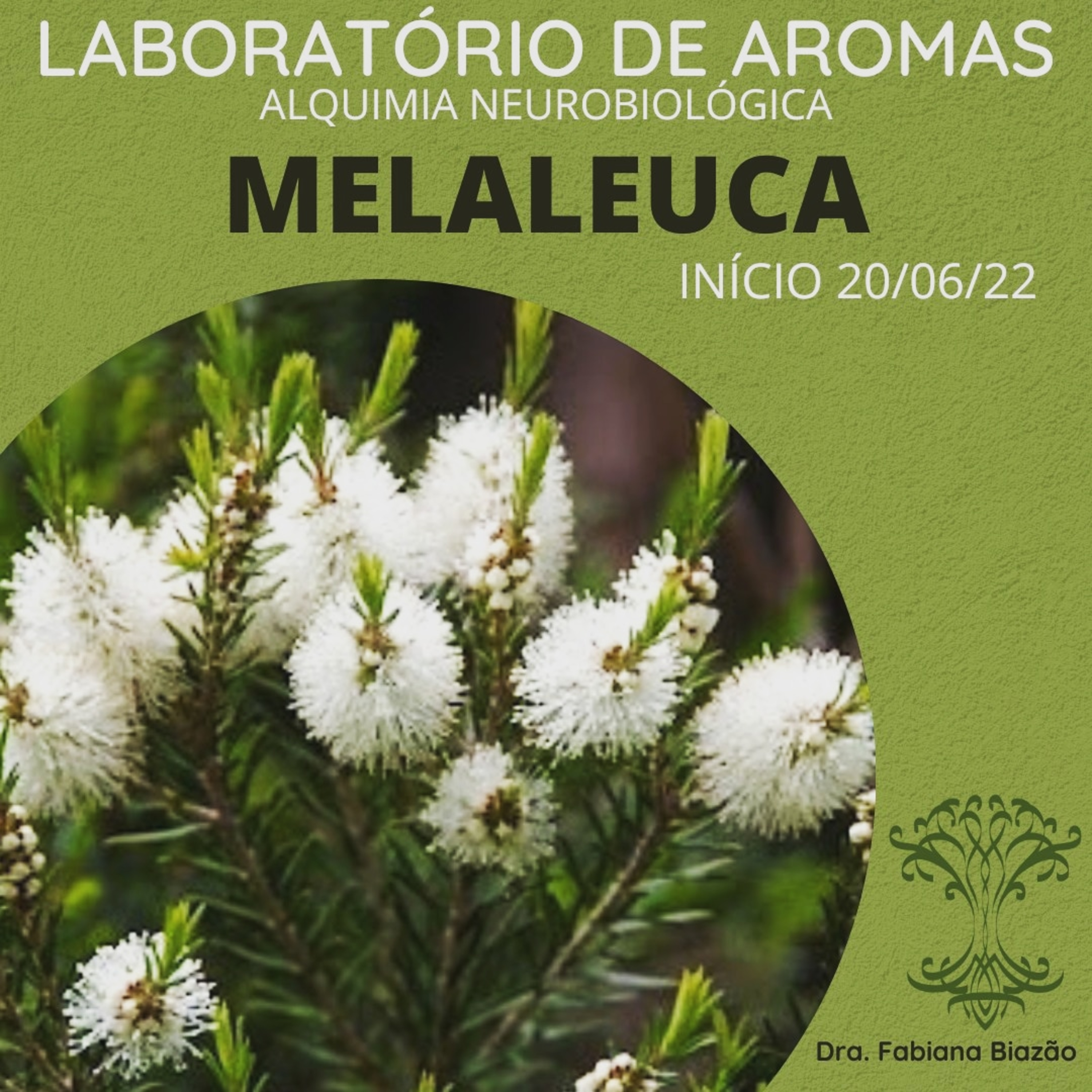 ALQUIMIA NEUROBIOLÓGICA - Dra. Fabiana Biazão