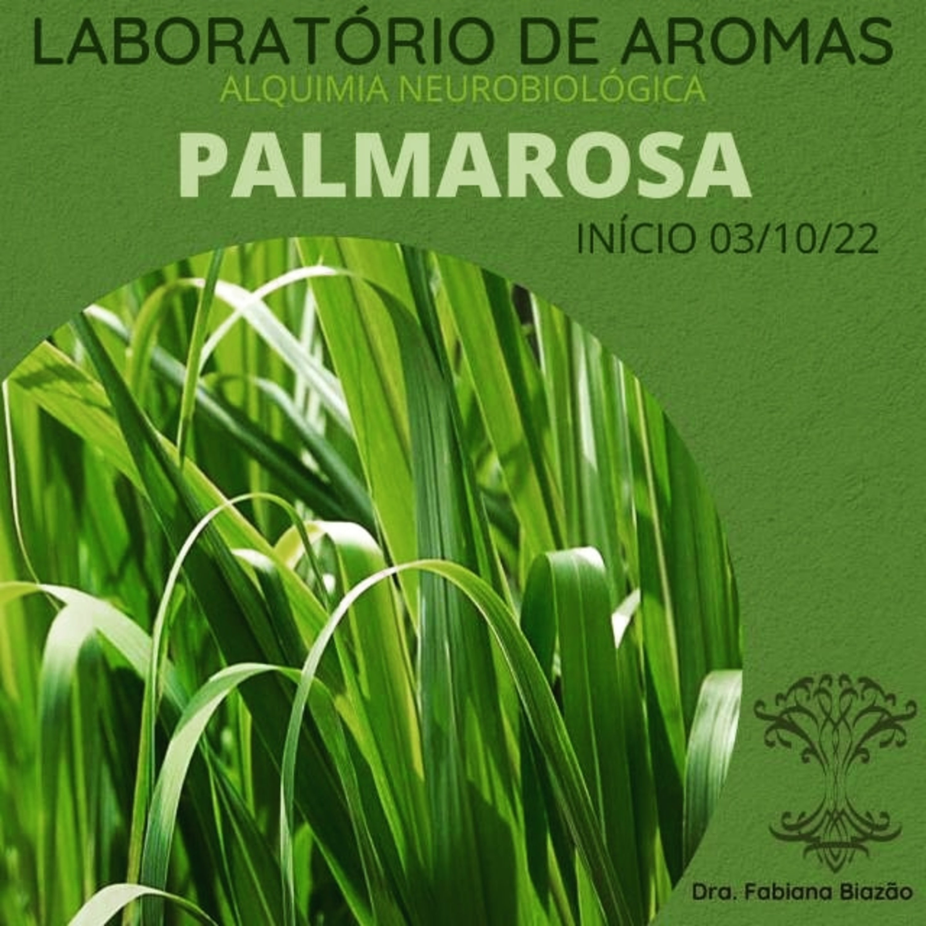 ALQUIMIA NEUROBIOLÓGICA - Dra. Fabiana Biazão