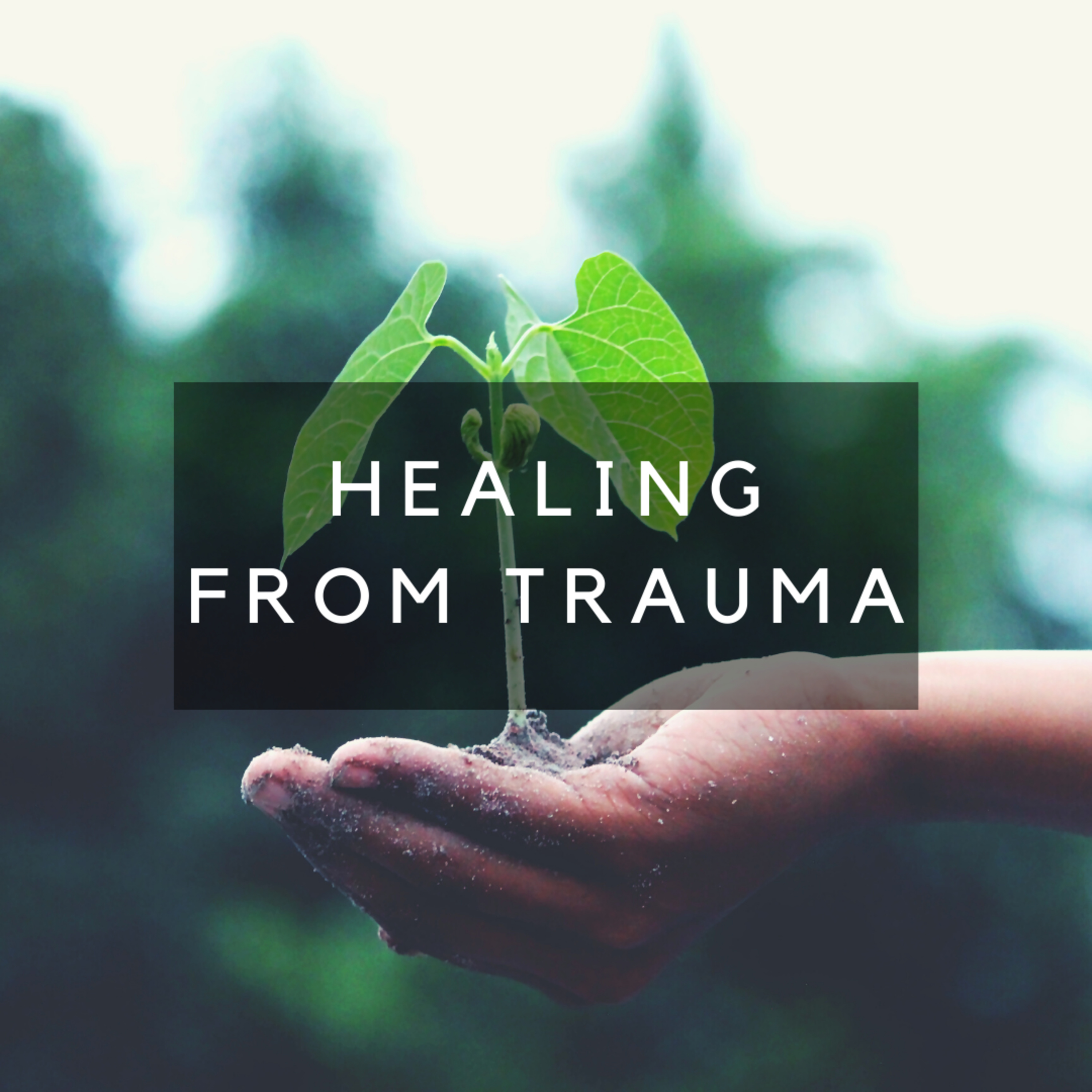 Thoughts On...Healing From Trauma