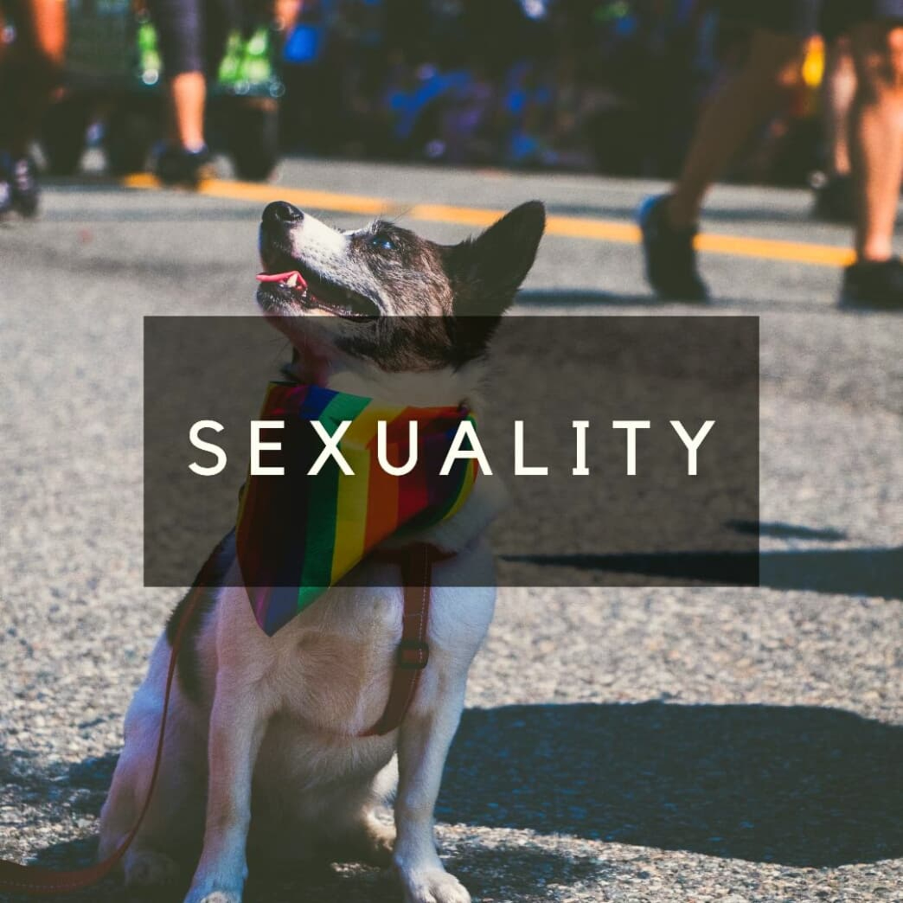 Thoughts On...Sexuality