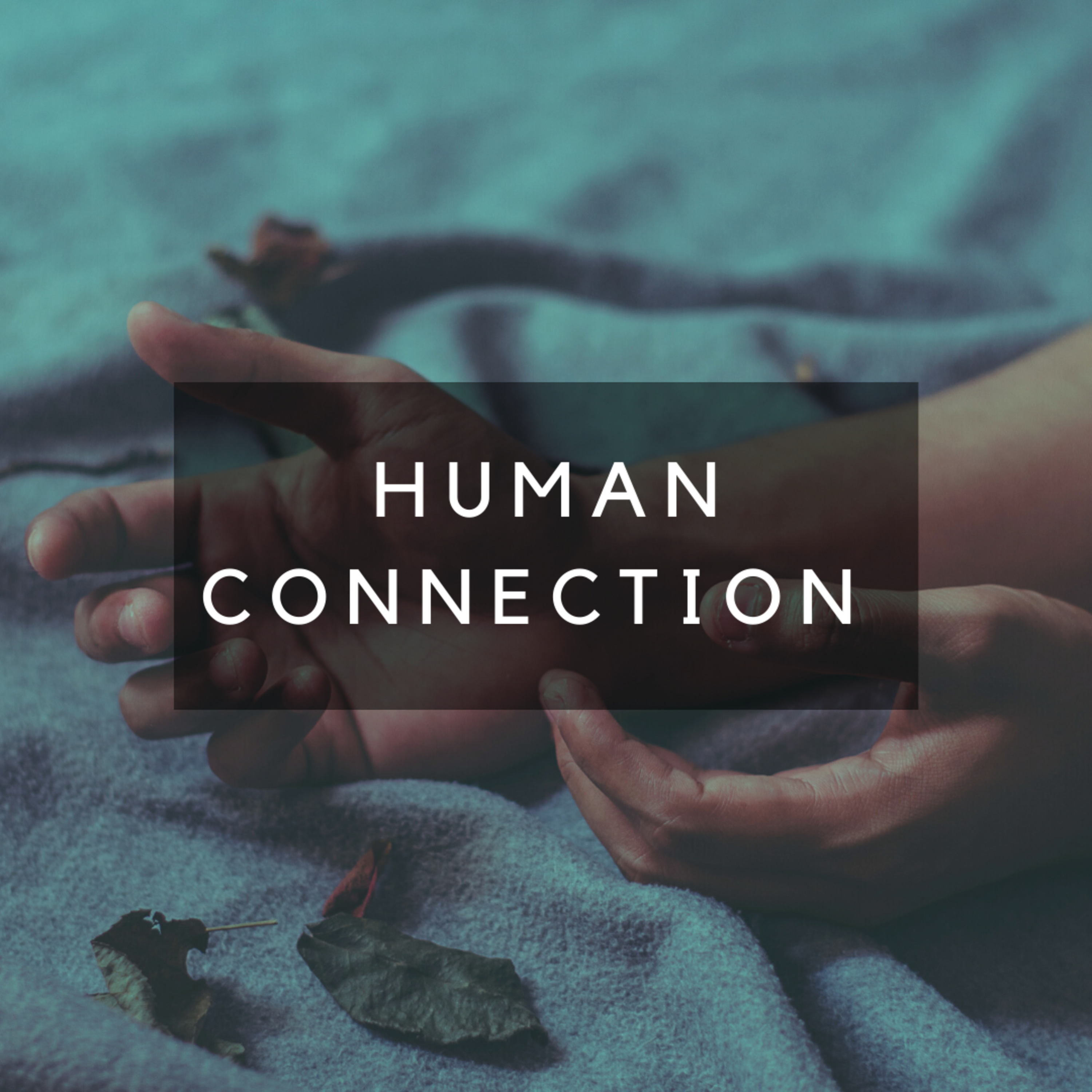 Thoughts On...Human Connection