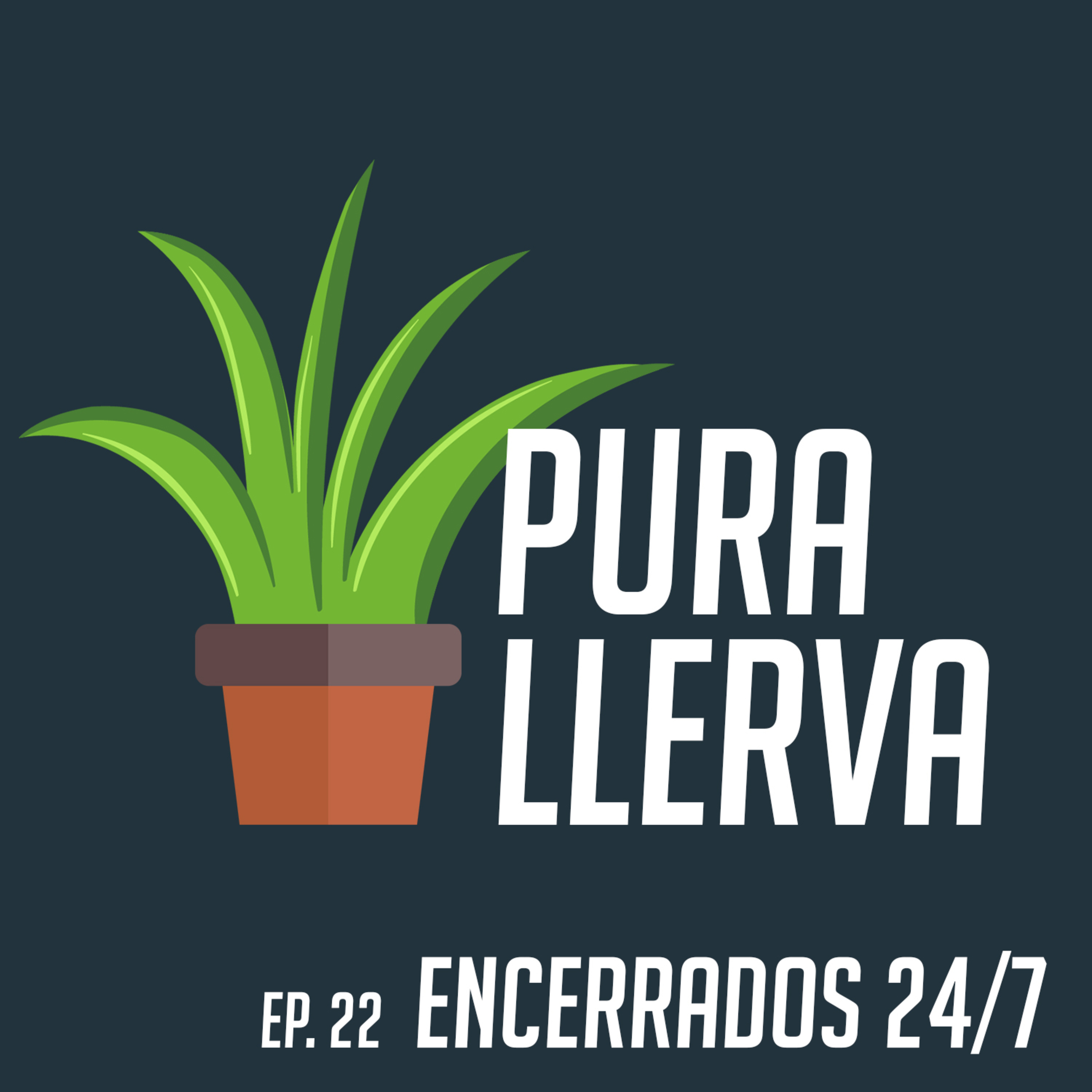 Pura Llerva