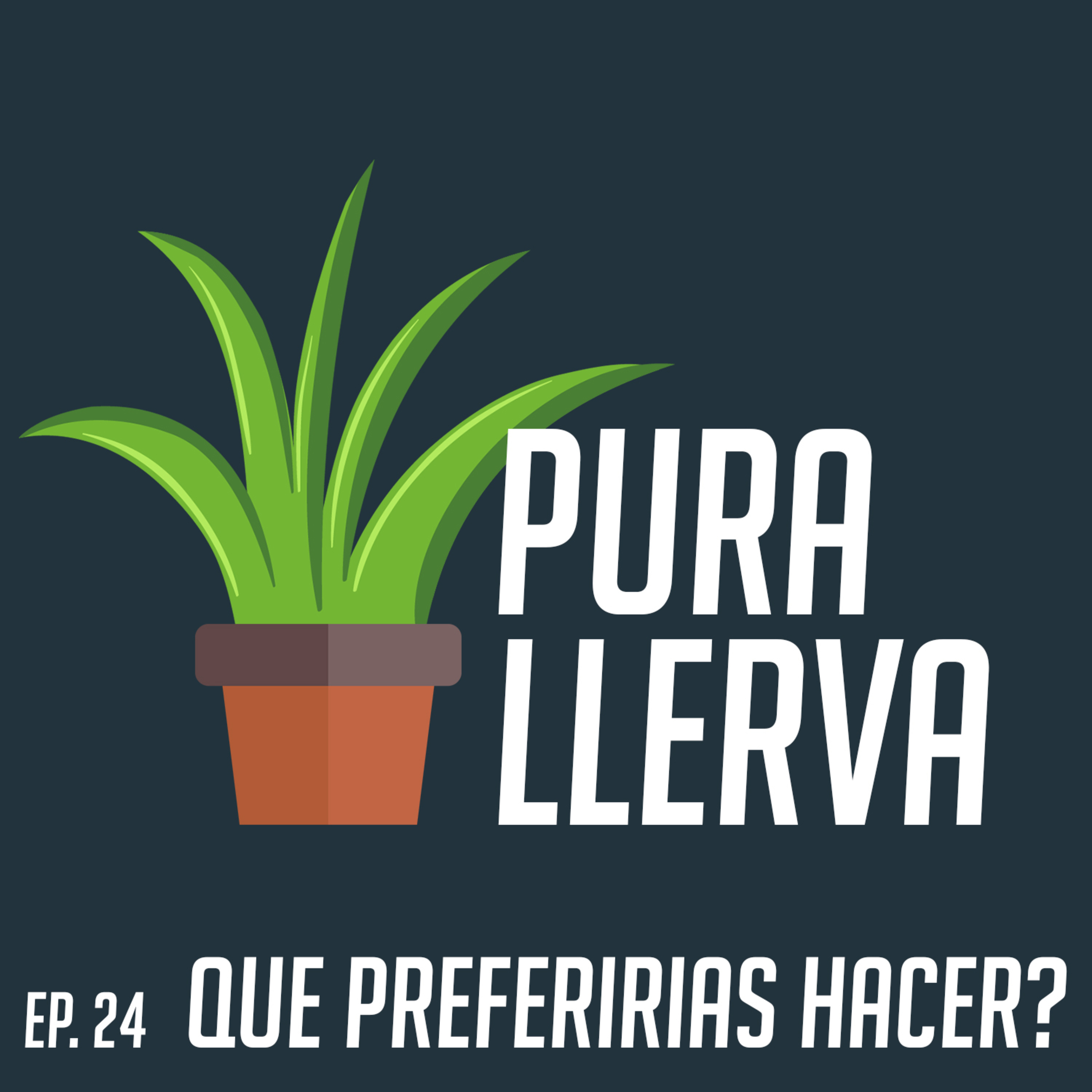 Pura Llerva