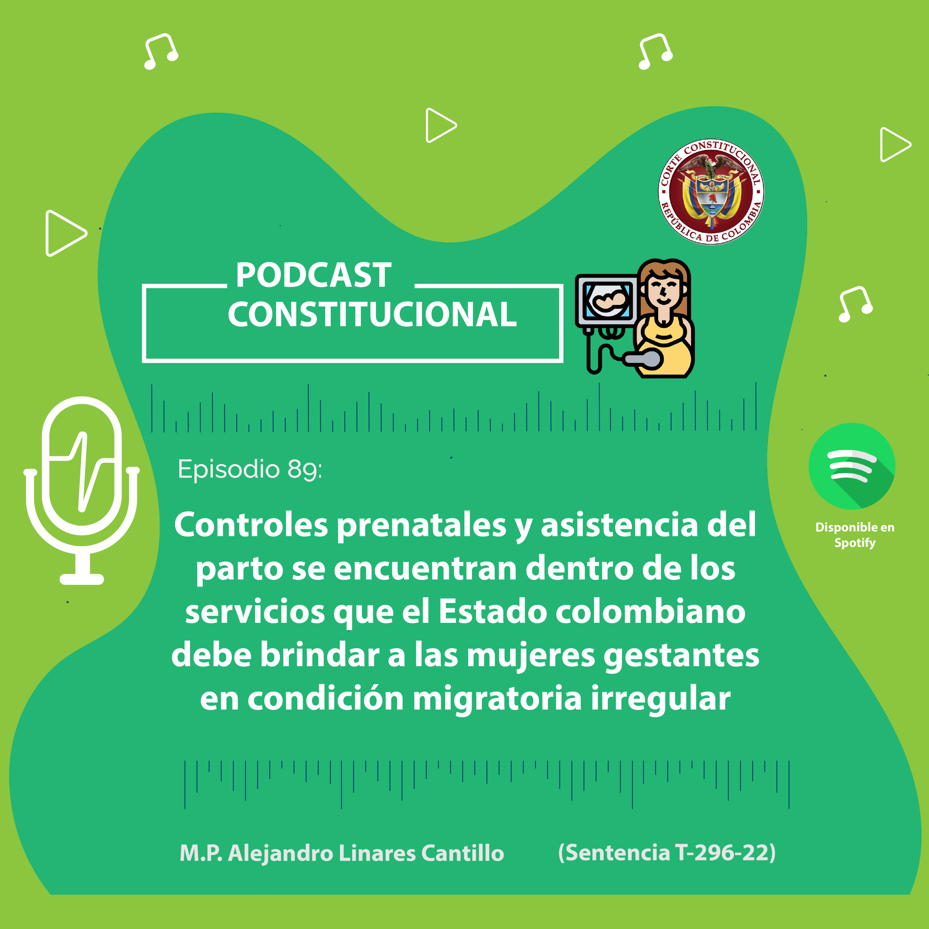 Capítulo No.88. Controles prenatales y asistencia del parto se encuentran dentro de los servicios que el Estado colombiano debe brindar a las mujeres gestantes en condición migratoria irregular episode artwork