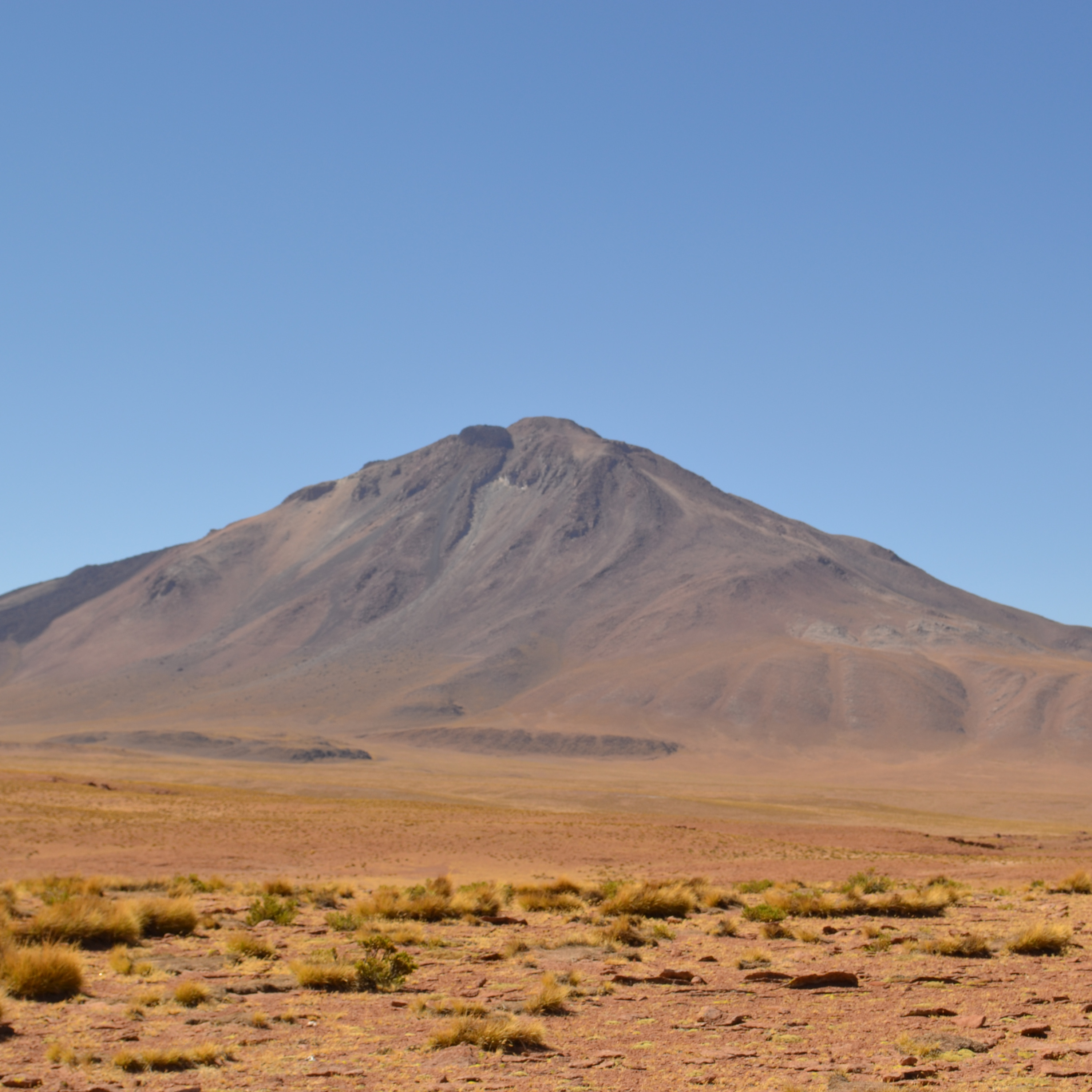Uma pedra no caminho