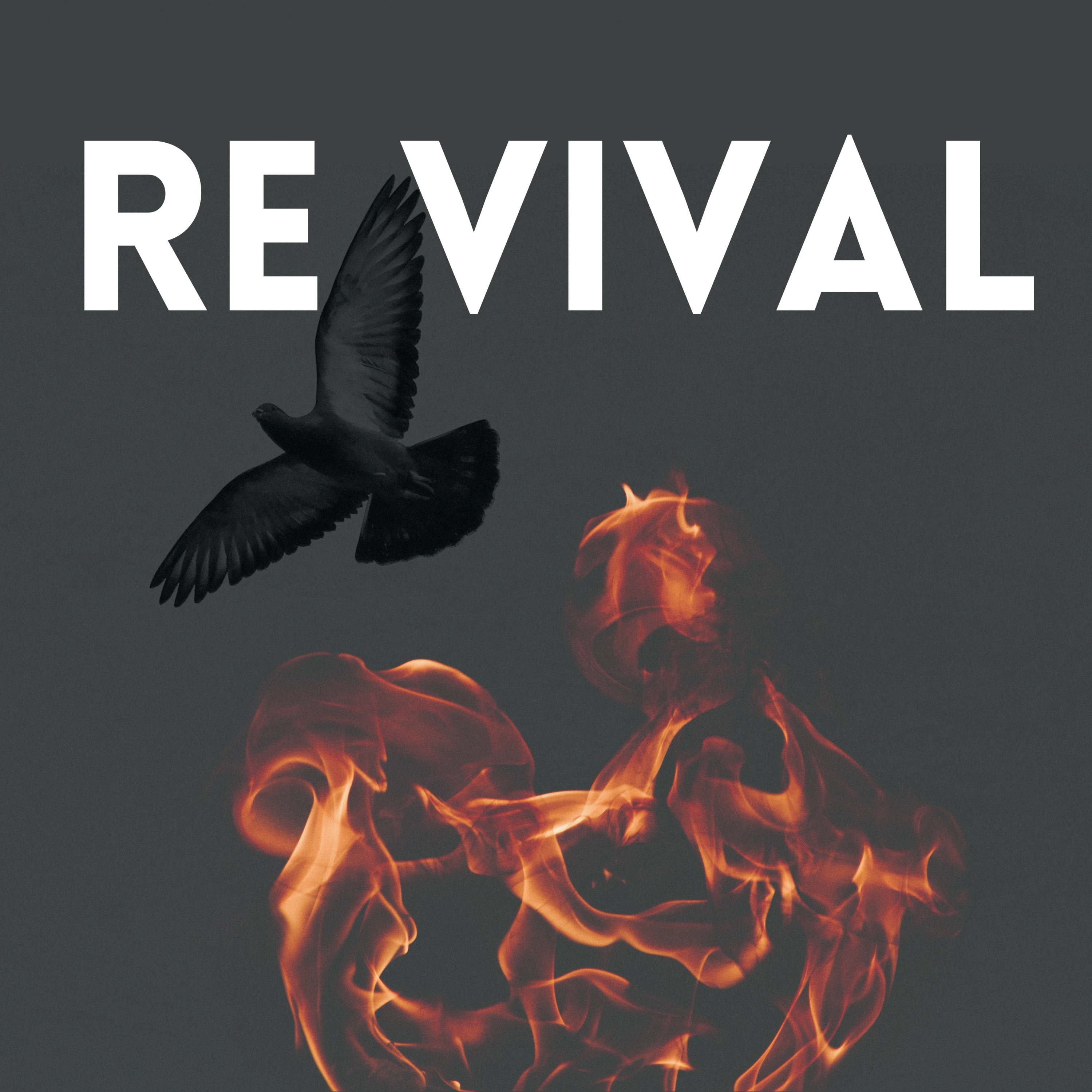 Where Does Revival Start? | Revival #5  |  Louis Scheepers
