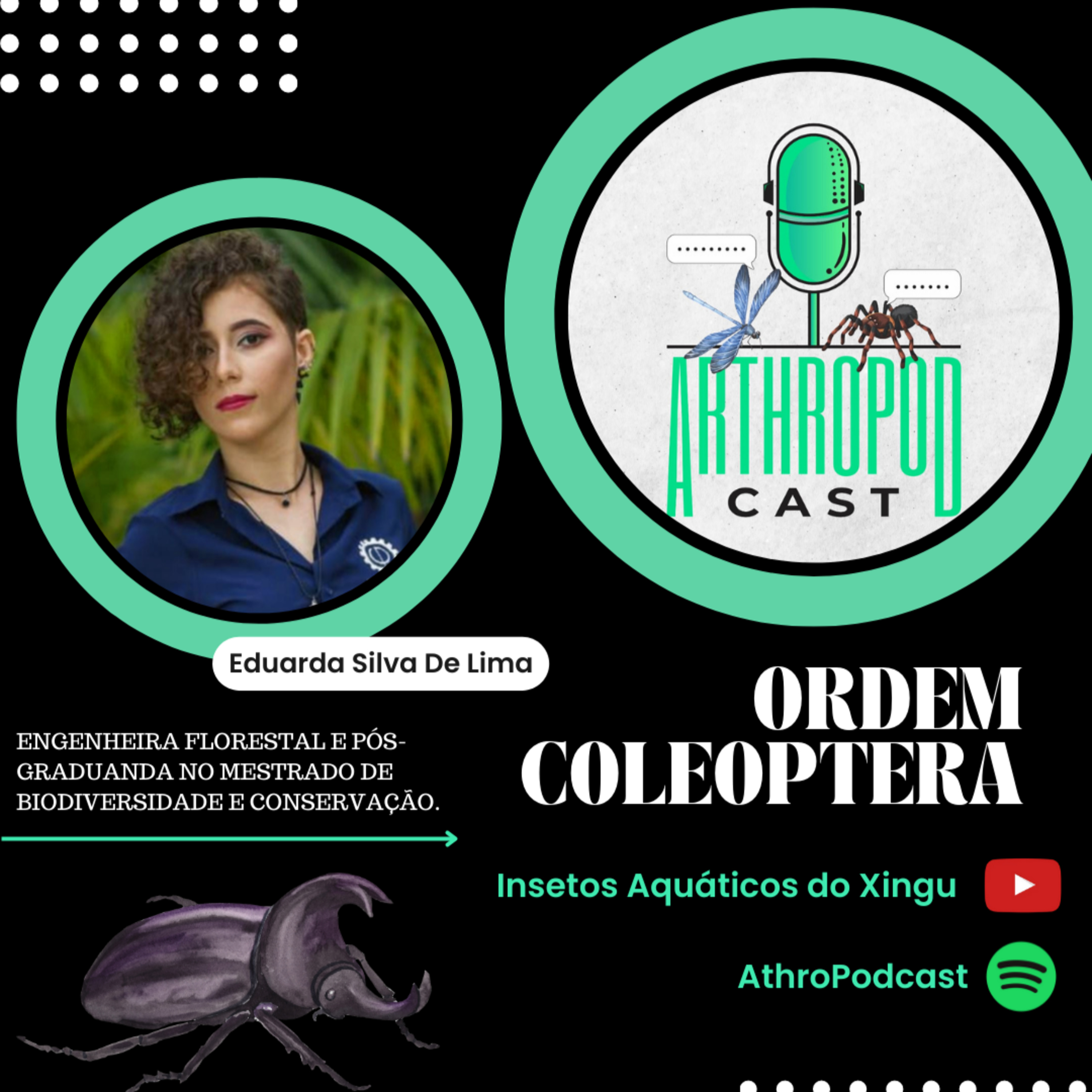 Ordem Coleóptera (Insetos #1)