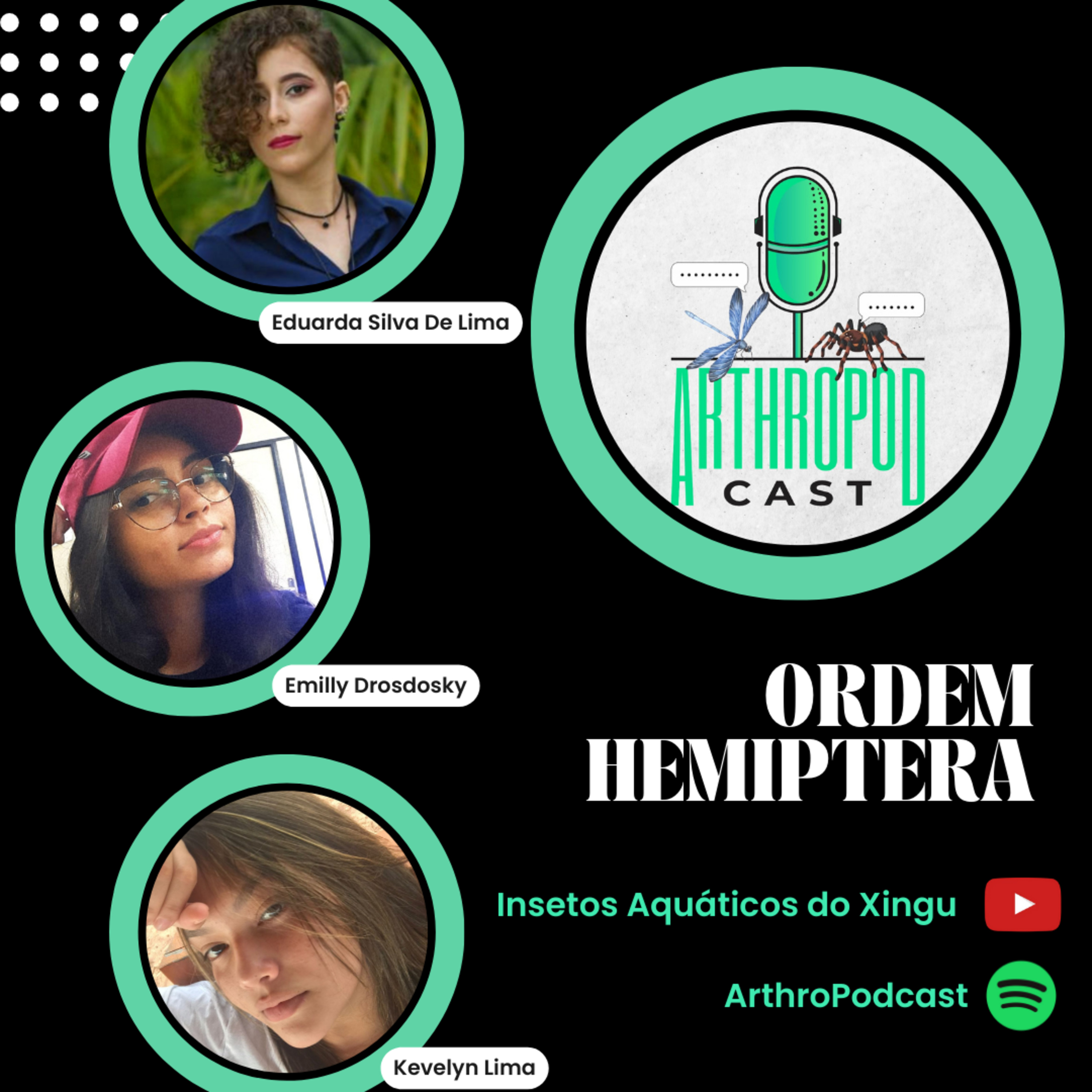 Ordem Hemiptera (Insetos #3)