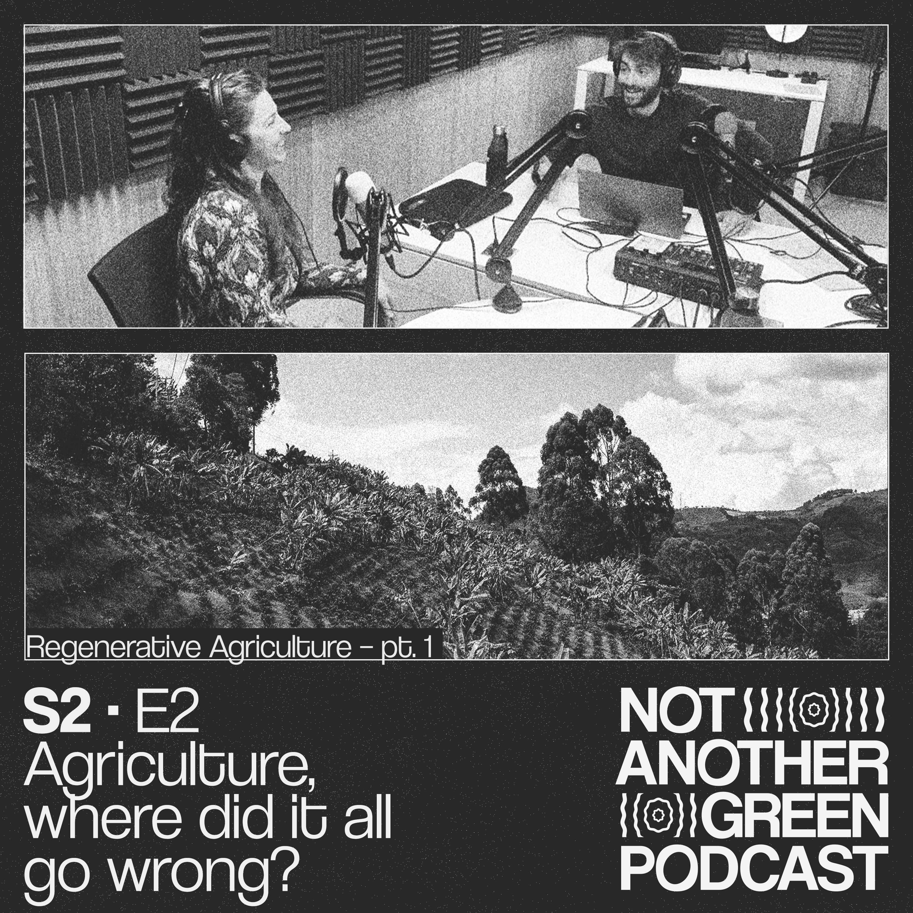 Not Another Green Podcast