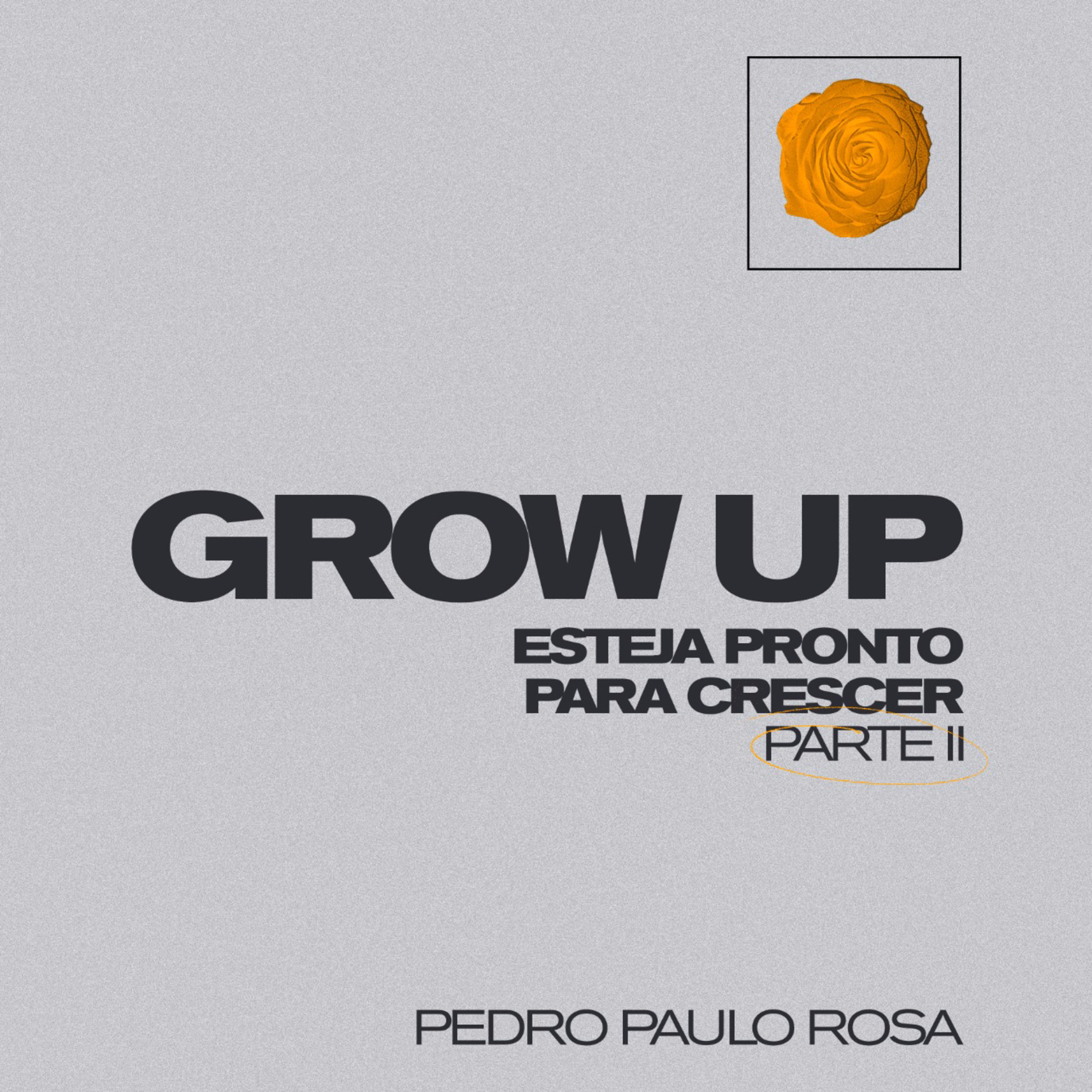 Pedro Paulo Rosa