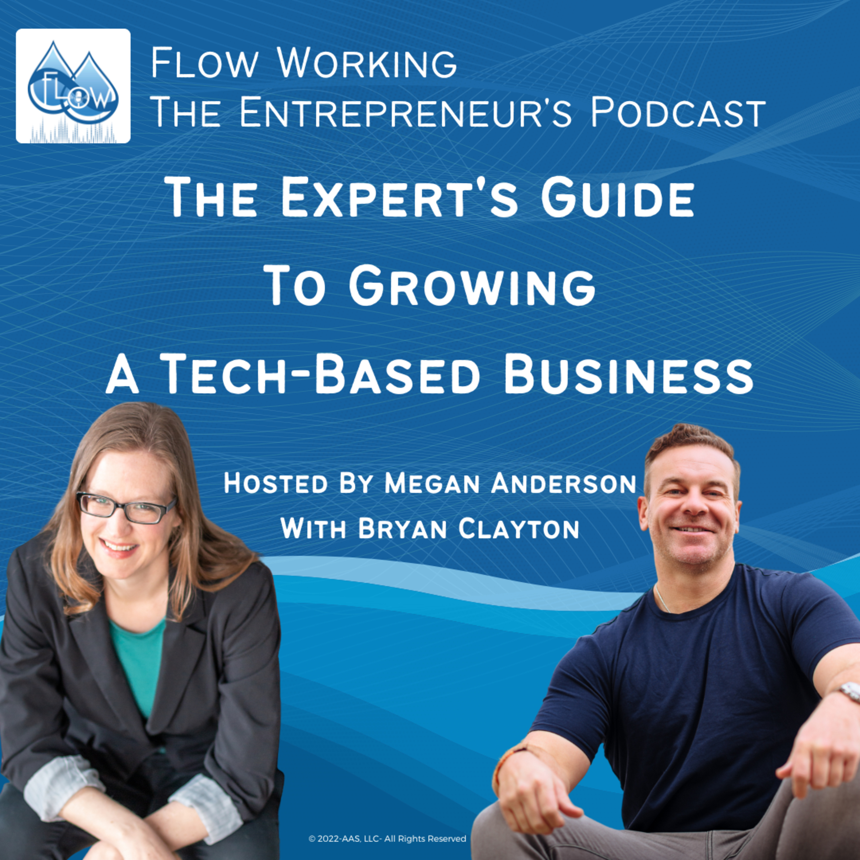 The Expert's GuideTo Growing a Tech-Based Business-with Bryan Clayton  episode artwork