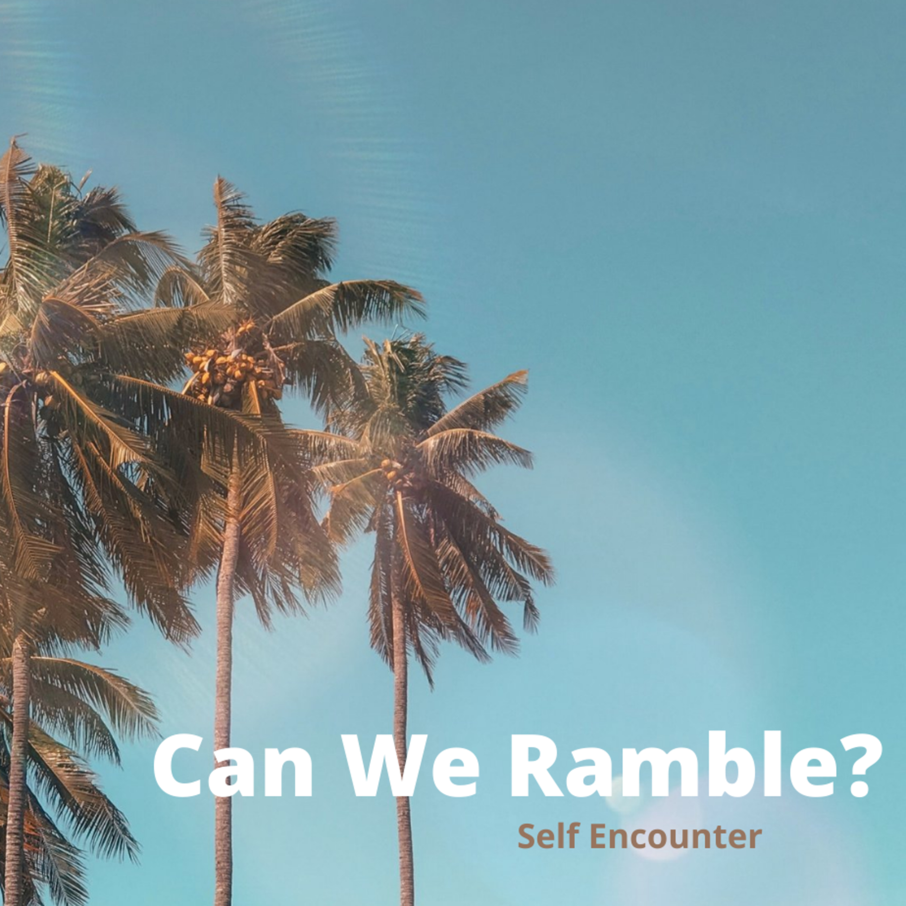 Can We Ramble? episode artwork