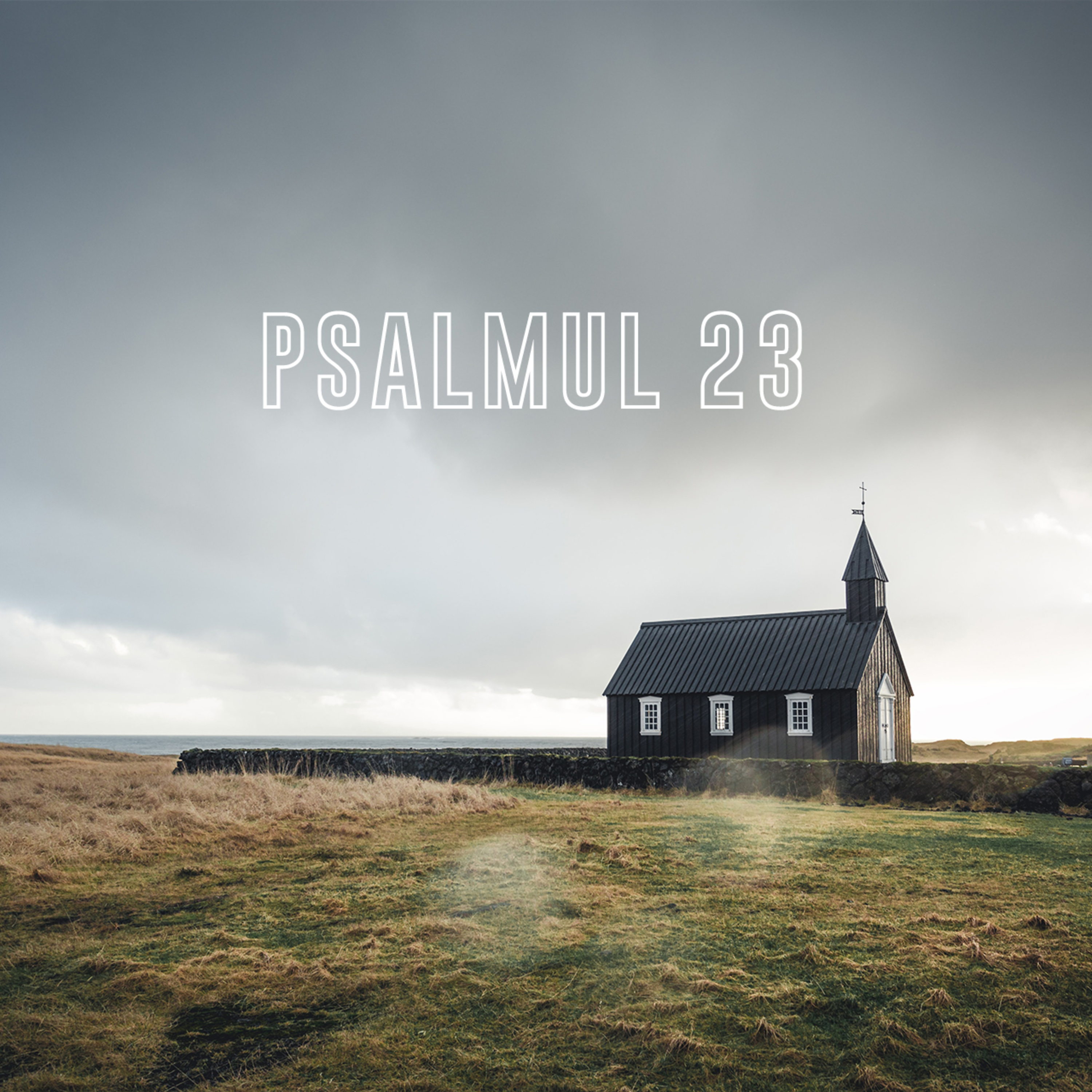 Harvest Timișoara | Psalmul 23 | Cristian Mariț