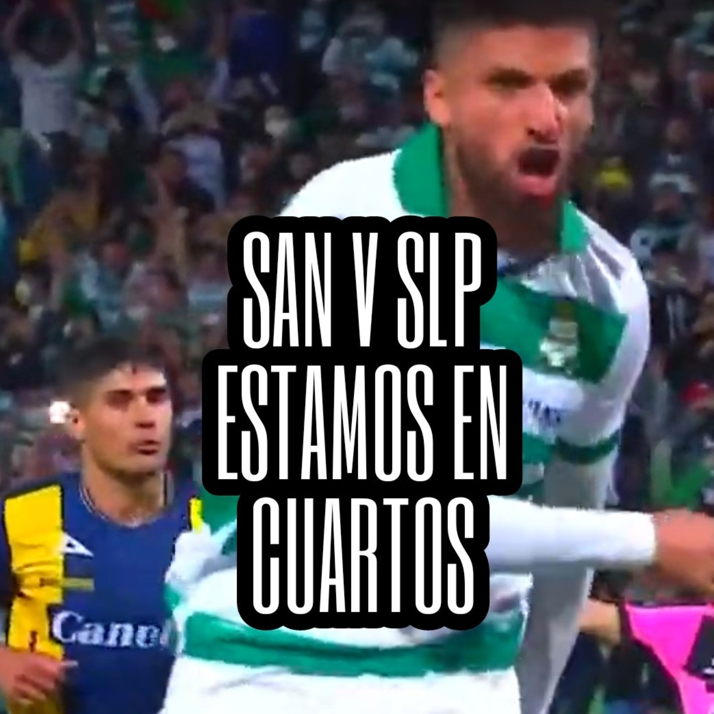 Barra Albiverde SL
