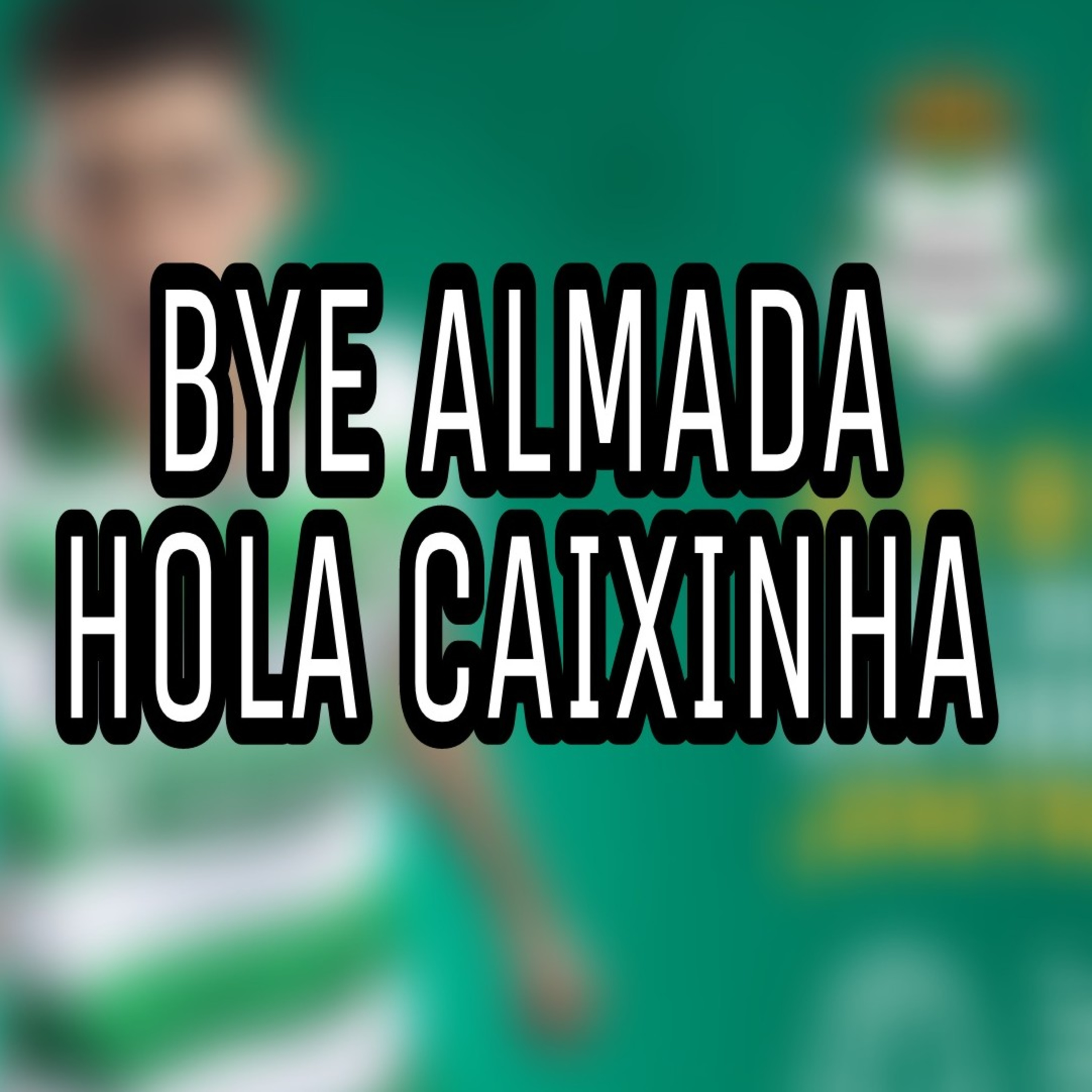 Barra Albiverde SL