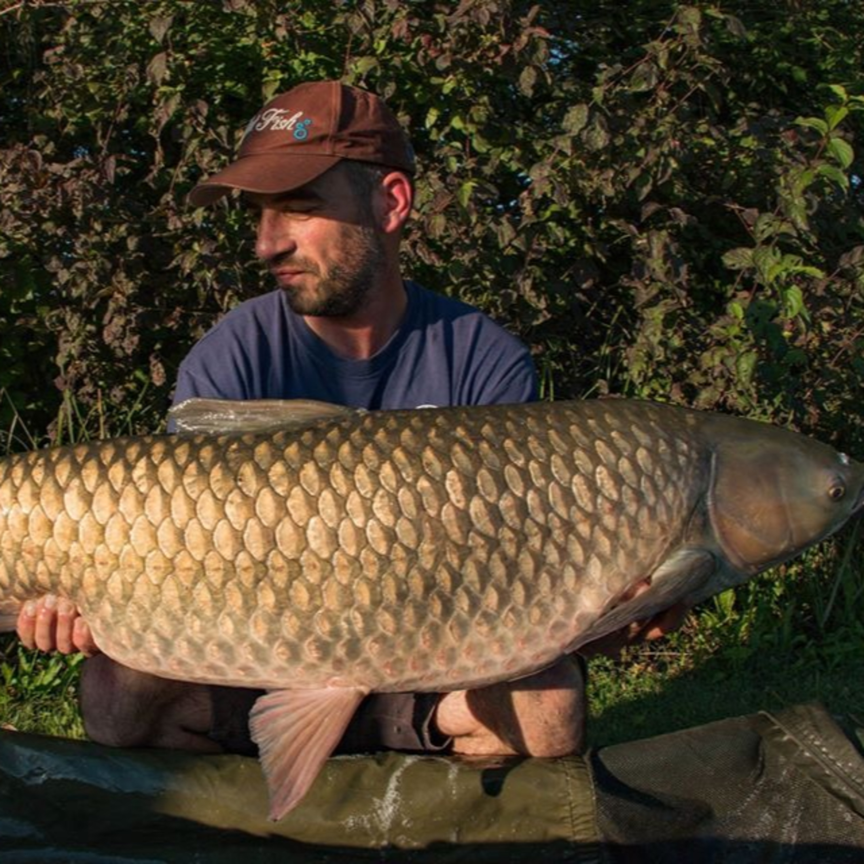 Rio de la Vida Pesca