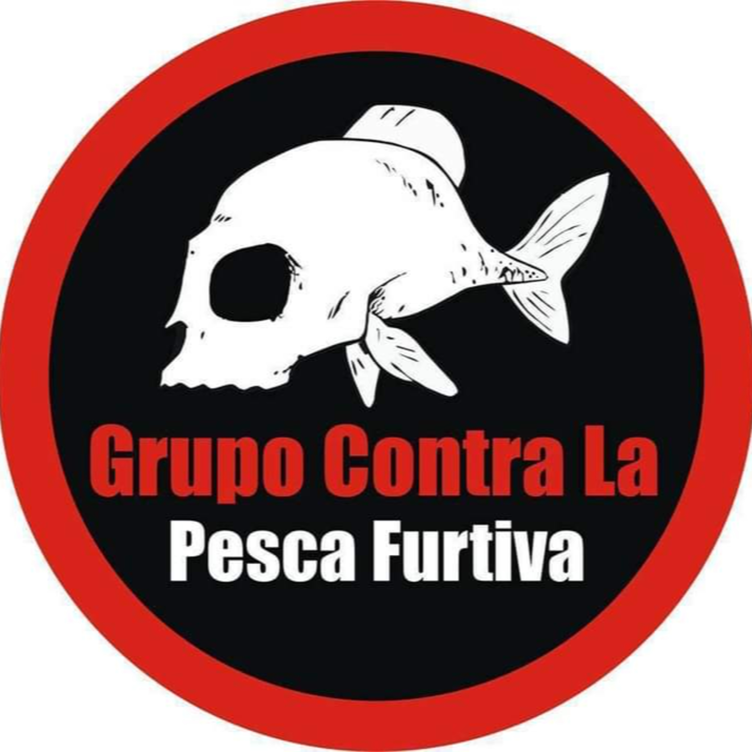 Rio de la Vida Pesca