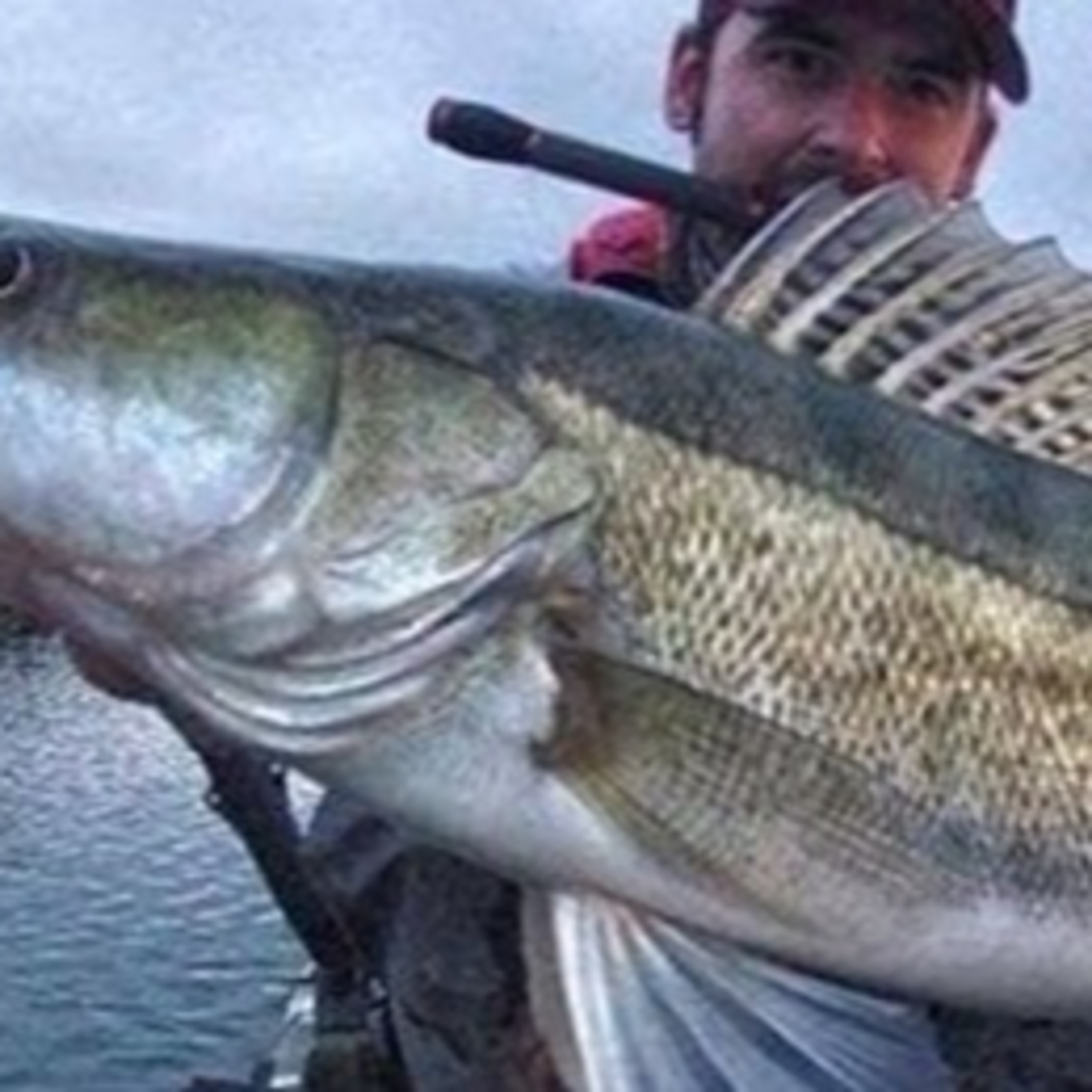 RÍO DE LA VIDA – El Podcast de Pesca en Radio · Agua Dulce y Mar · Carpfishing, Mosca y Spinning